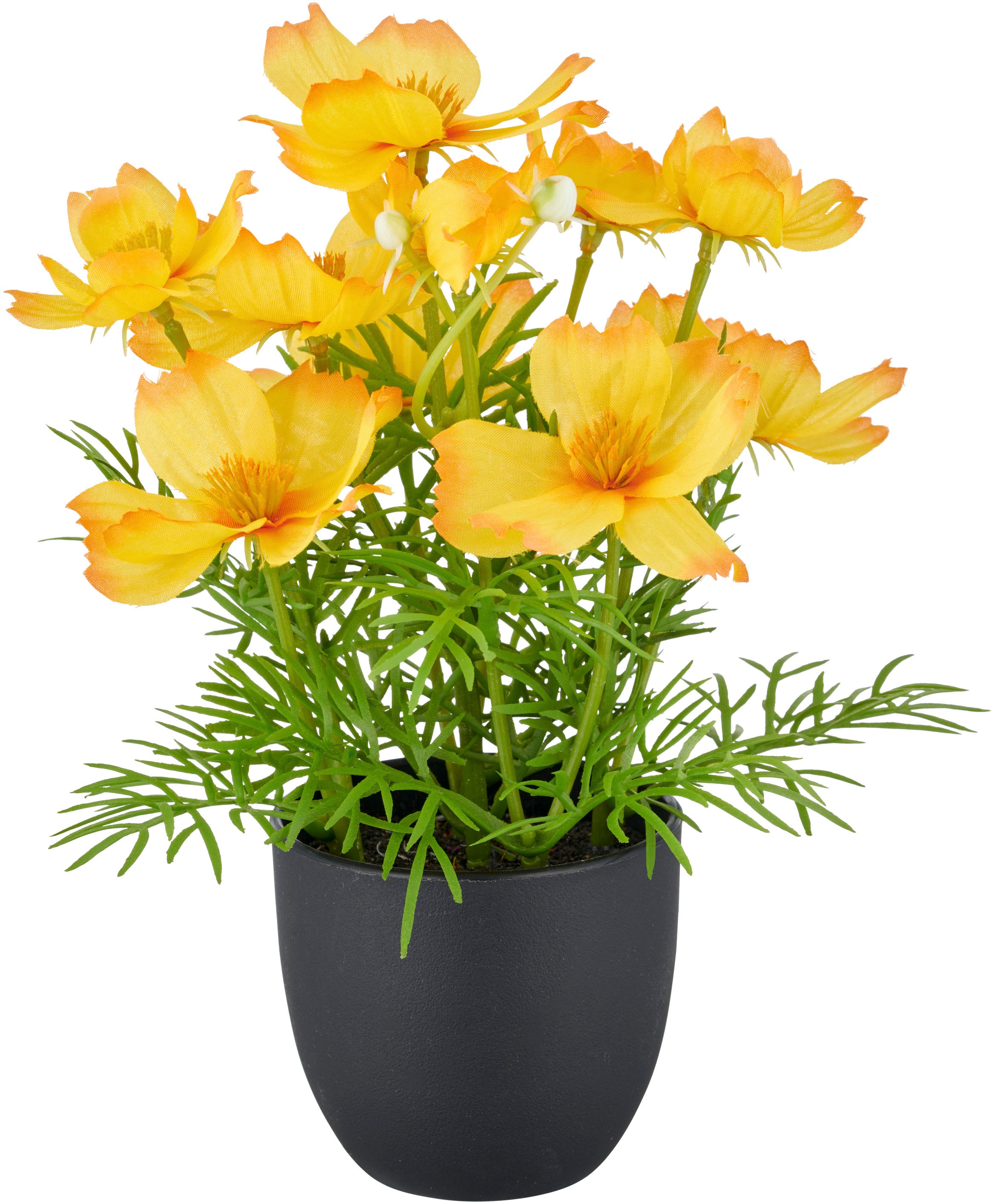 Creativ green Kunstpflanze »Cosmea«, mit farbenfrohen Blüten
