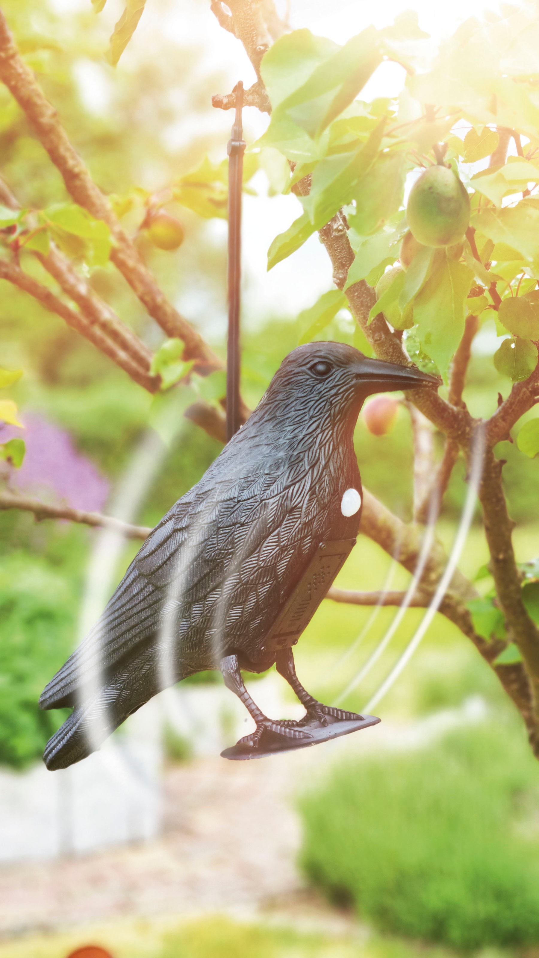 Gardigo Vogel-Schreck »Gardigo Vogel-Abwehr Krähe«, mit Sound, inkl.Batterien