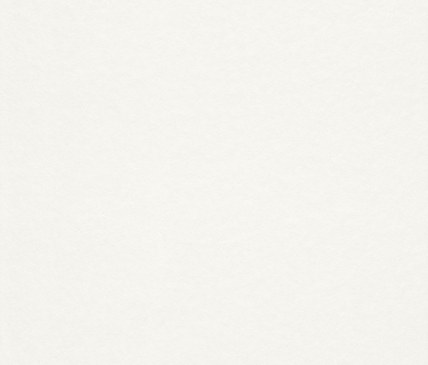 Rasch Vliestapete »Makulaturvlies« uni geprägt