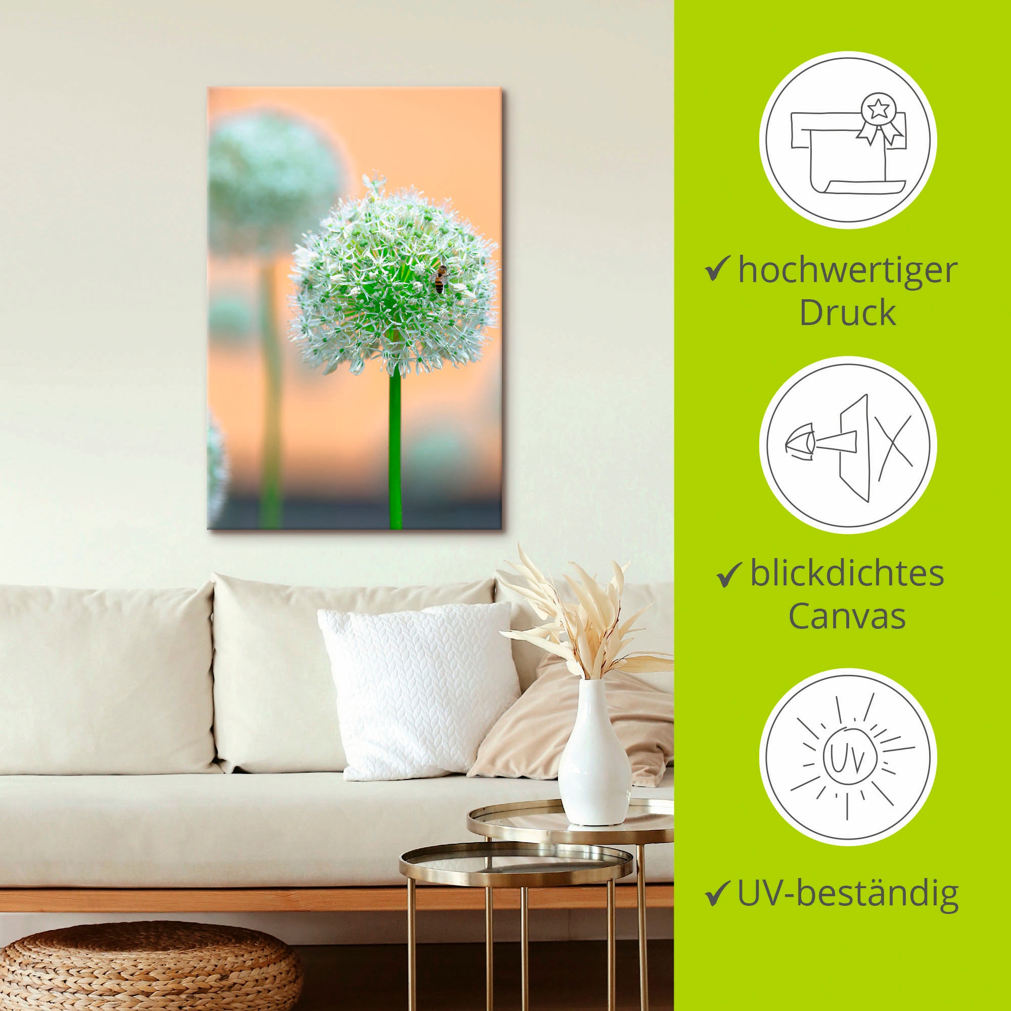 Artland Wandbild »Großer Allium in Pastell«, Blumen, (1 St.), als Leinwandbild, Wandaufkleber in verschied. Größen