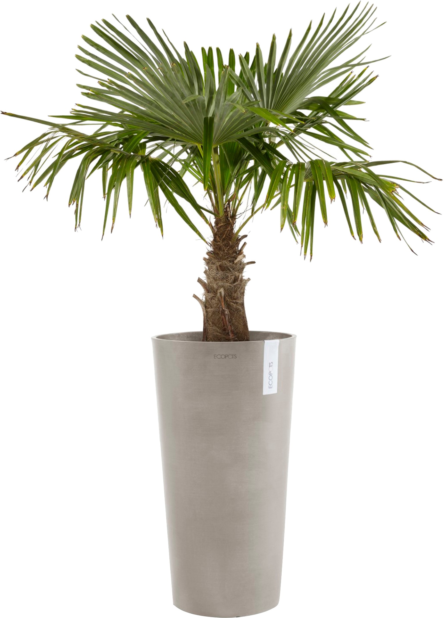 ECOPOTS Blumentopf »Amsterdam extrahoch 90 Taupe«, für innen und außen: frostsicher, bruchsicher und lichtbeständig
