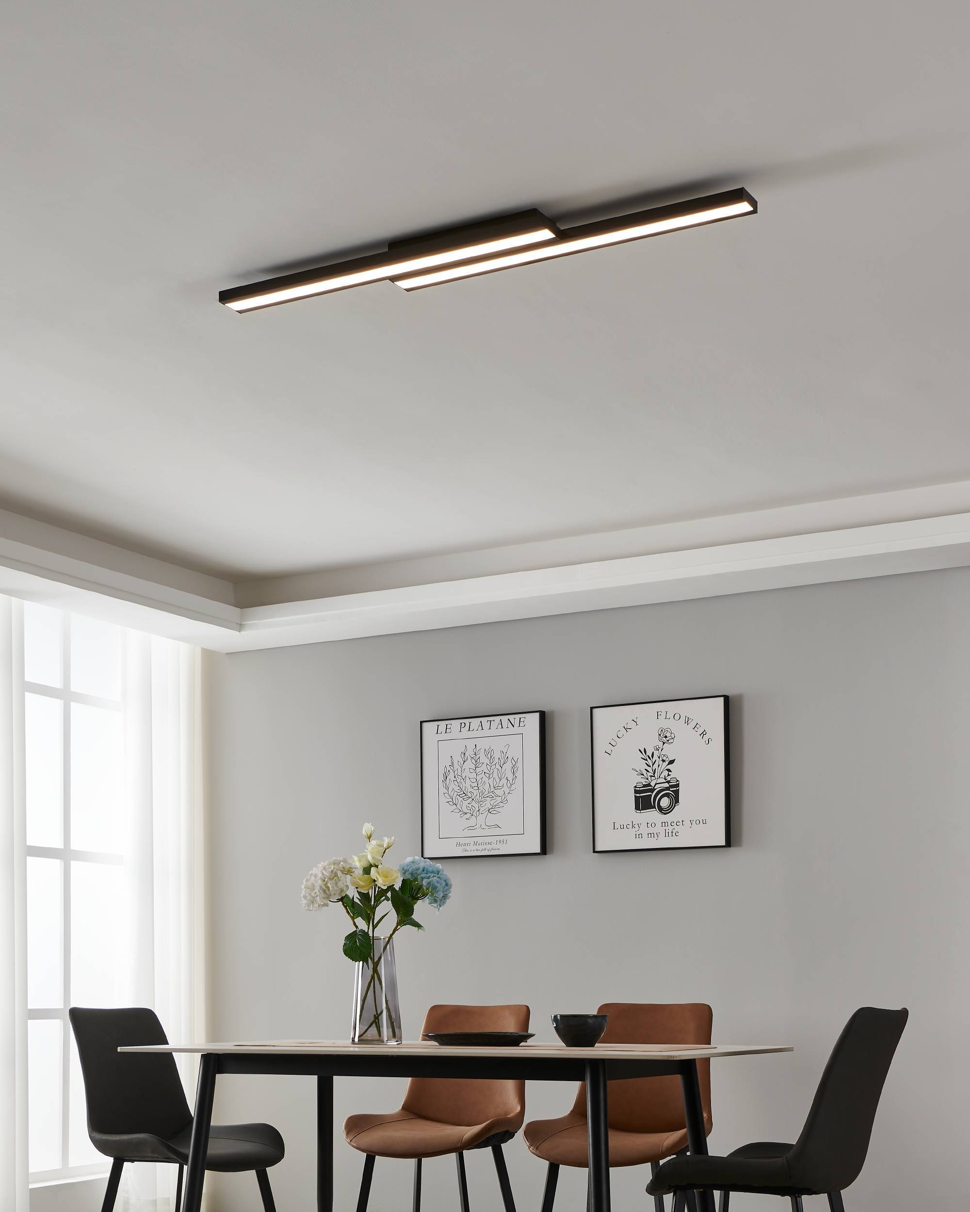 EGLO Deckenleuchte »SALITERAS-Z« in schwarz aus Stahl / inkl. LED fest integriert - 2 x 10,2 Watt