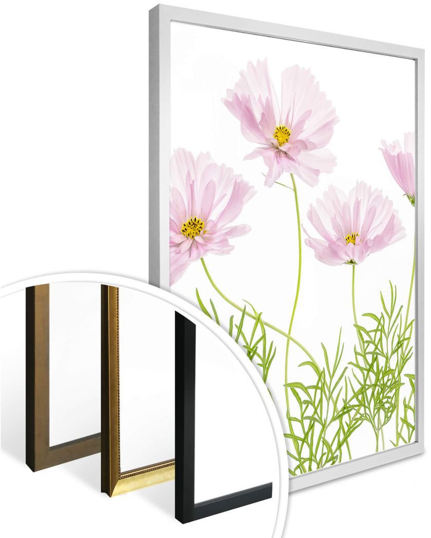 Blumen, bestellen (1 Wall-Art »Sommerblume«, St.) BAUR Poster |