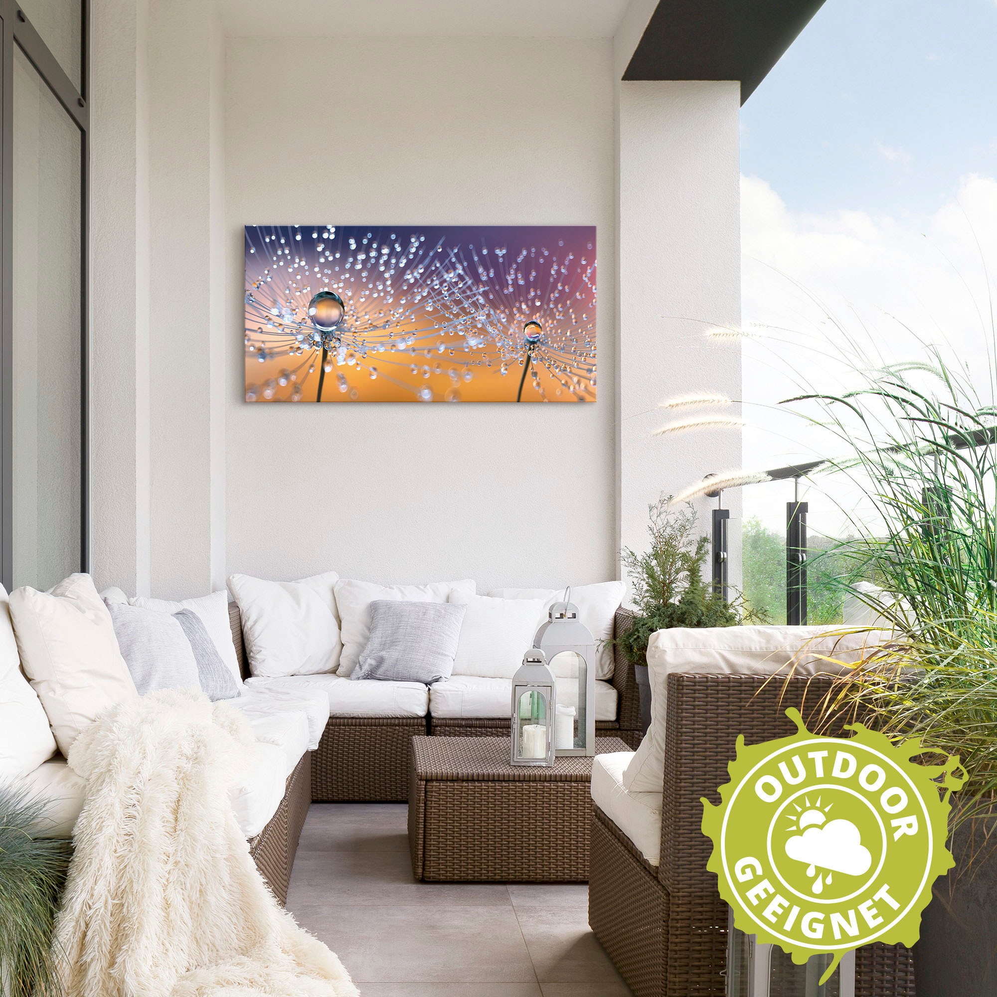 Artland Wandbild »Pusteblumen Tautropfen«, Blumenbilder, (1 St.), als Alubild, Outdoorbild, Leinwandbild, Poster, Wandaufkleber