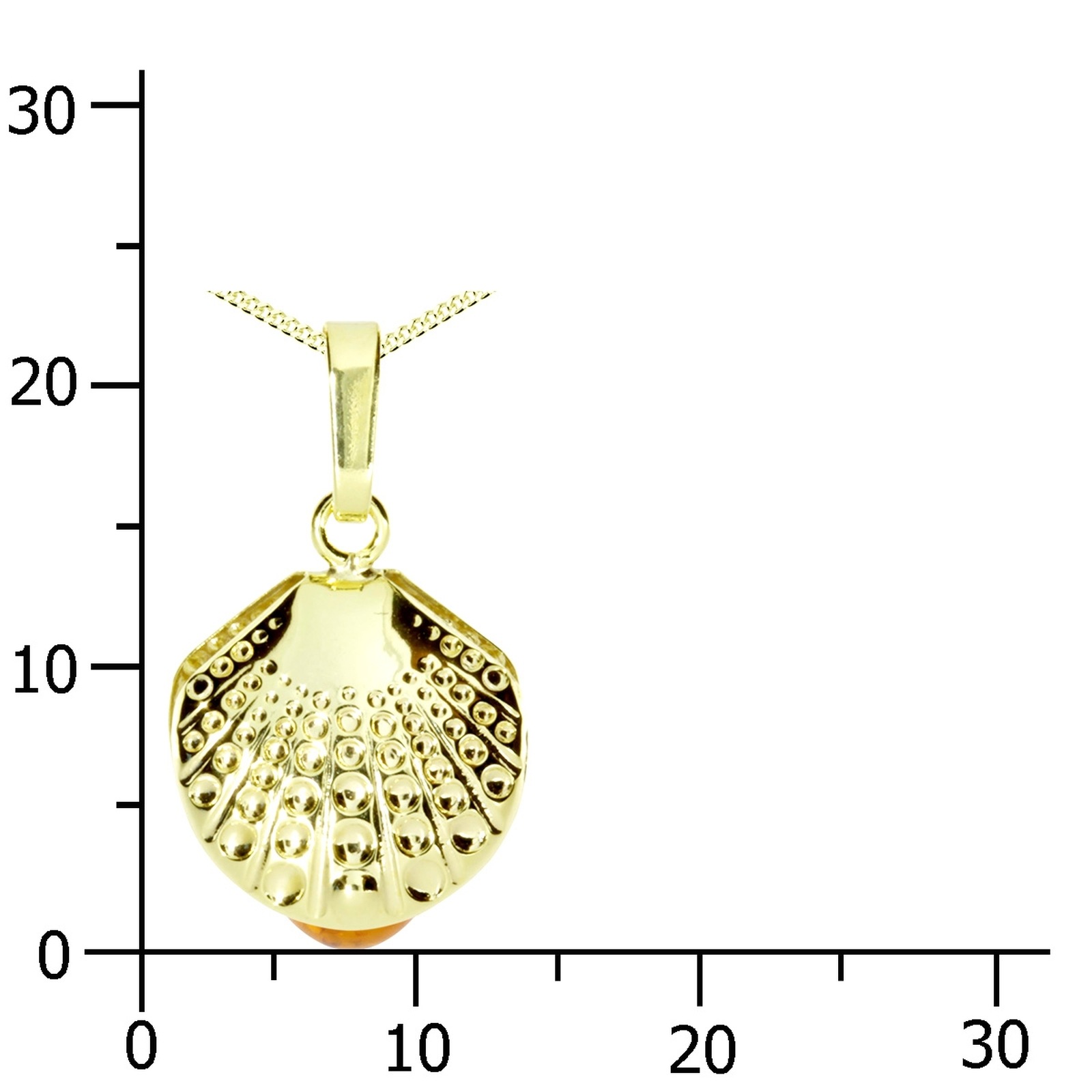 OSTSEE-SCHMUCK Kette und Anhänger Set »- Muschel - Gold 333/000 - Bernstein«