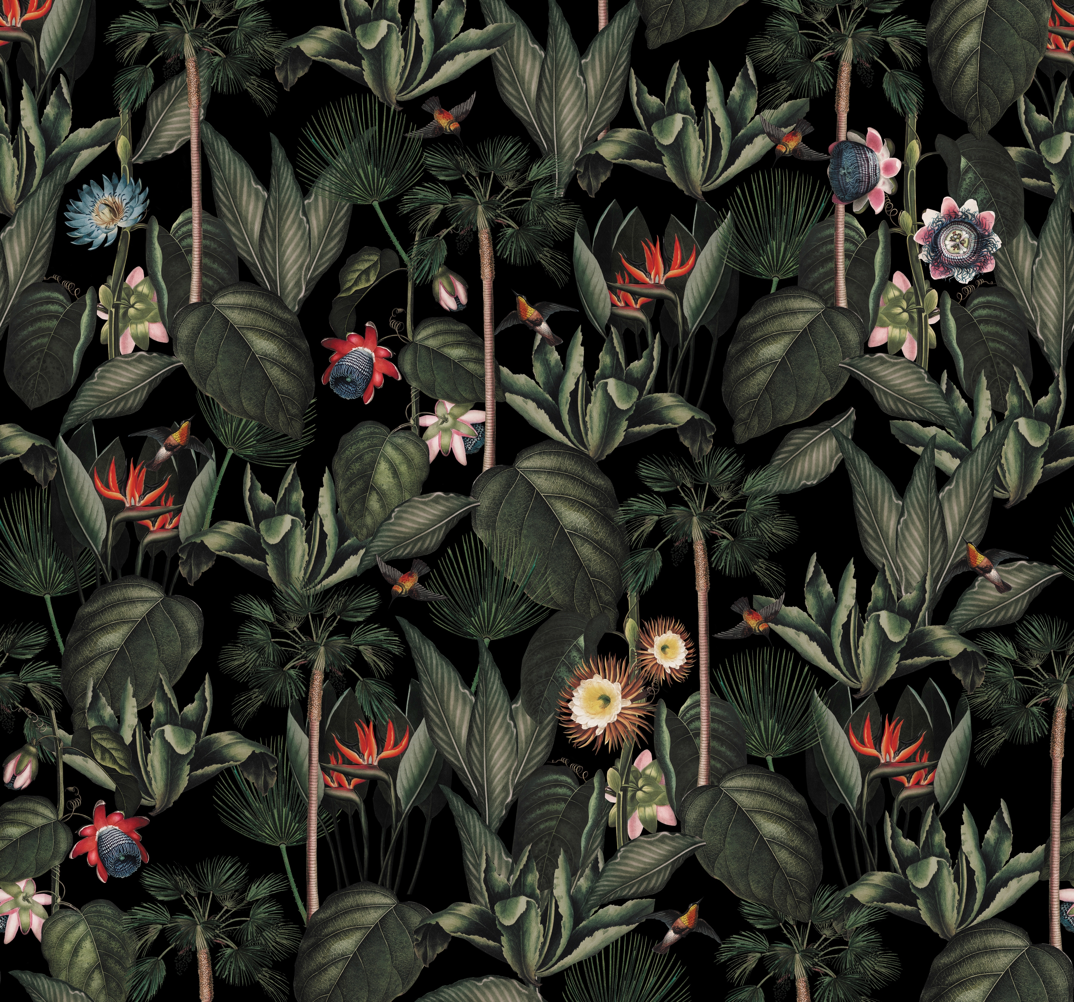 Superfresco Easy Fototapete "Yara" botanisch glatt Bunt - 300x280cm