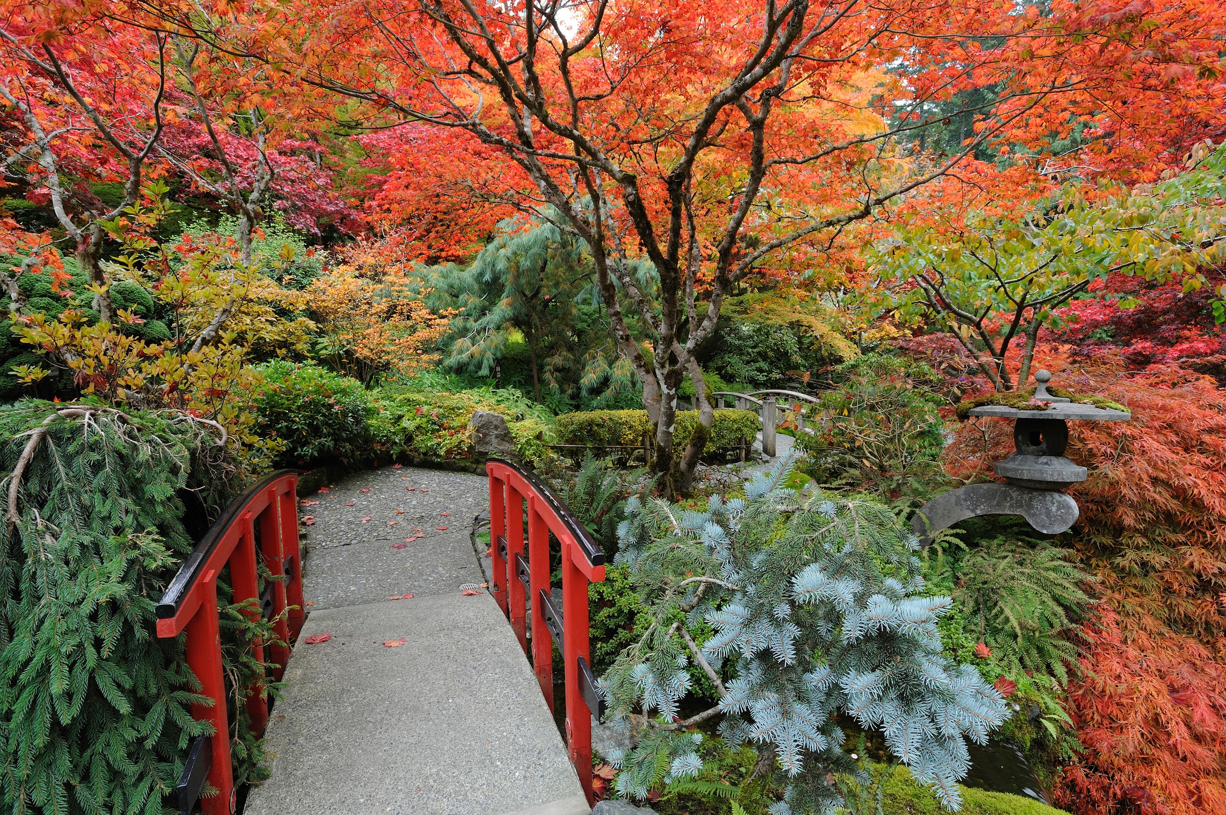 Papermoon Fototapete "JAPANISCHER GARTEN HERBST"