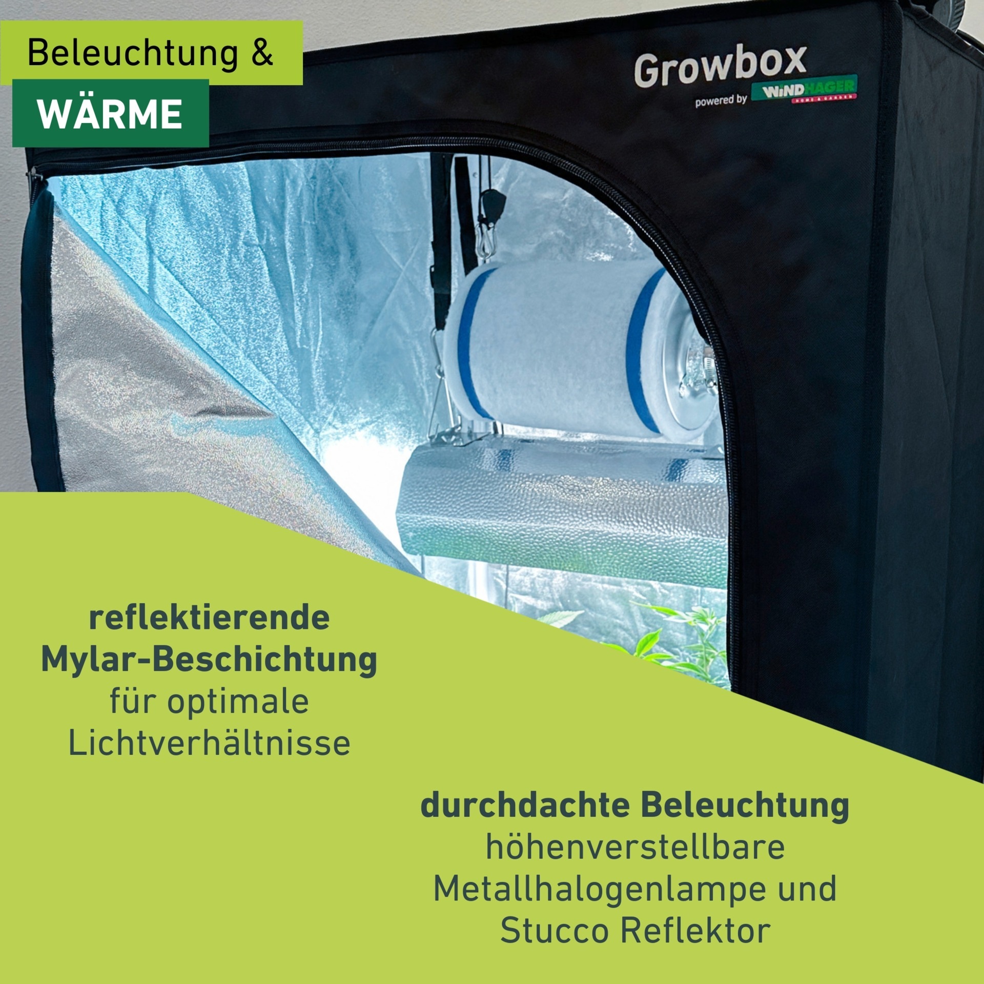 Windhager Gewächshaus »Indoor, Growbox komplettes Starterset« Zuchtzelt für Pflanzen, Anbaufläche 0,64 m², 80 x 80 x 160 cm, schwarz
