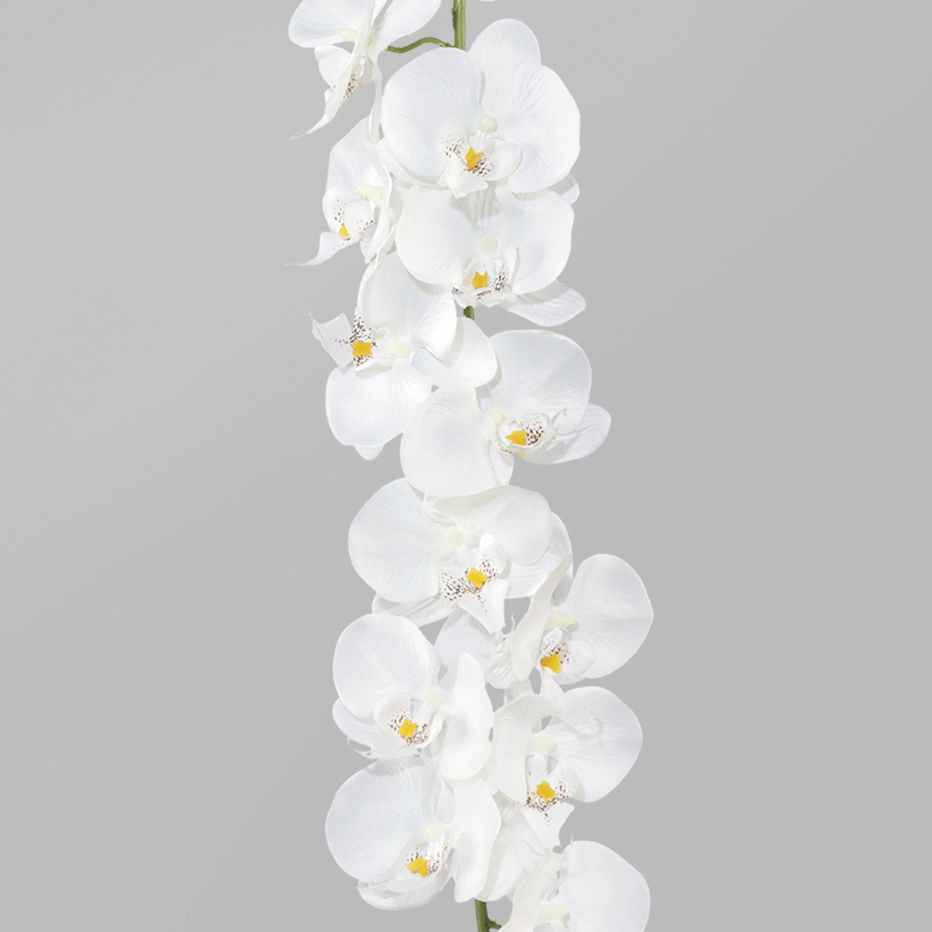 Kunstgirlande »Orchideengirlande«
