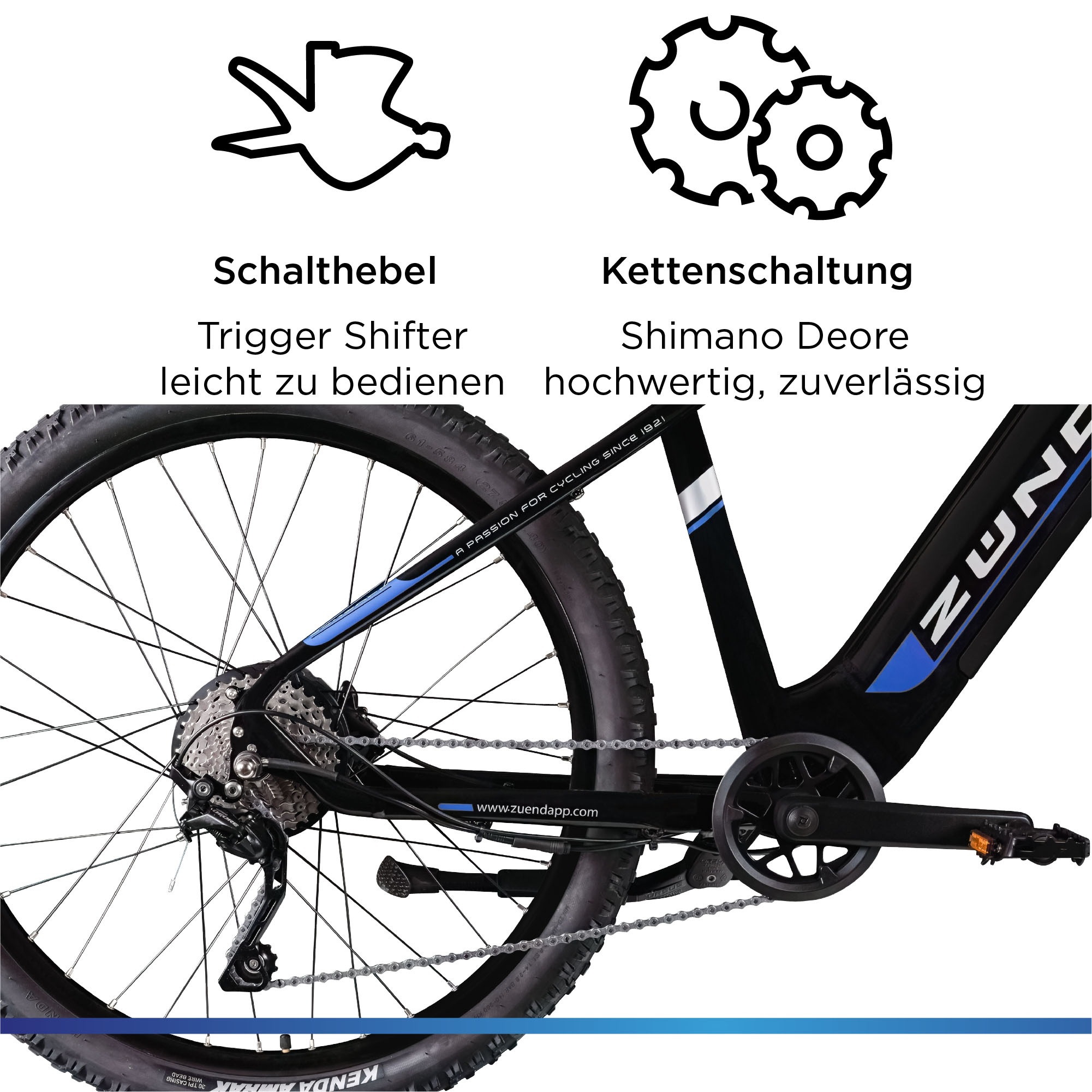 Zündapp E-Bike »Z898«, 10 Gang, Heckmotor 250 W, Pedelec, Elektrofahrrad für Damen u. Herren, MTB