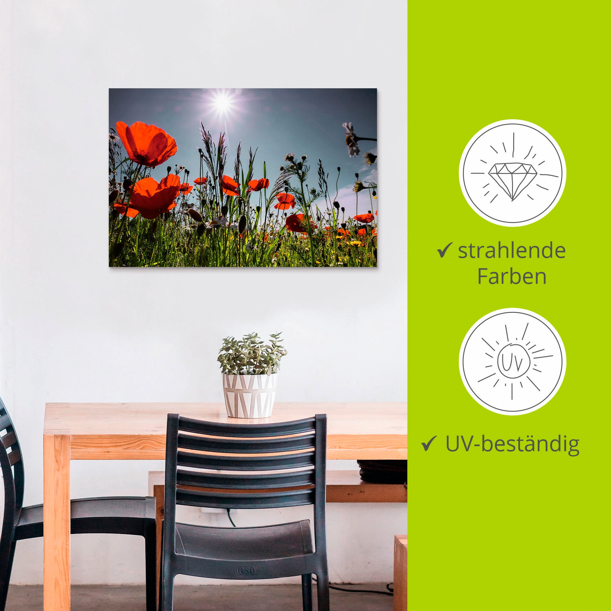 Artland »Mohnblumenwiese« Blumenwiese 1 Stk. tlg. für Innen- und Außenbereich geeignet, Outdoorbild