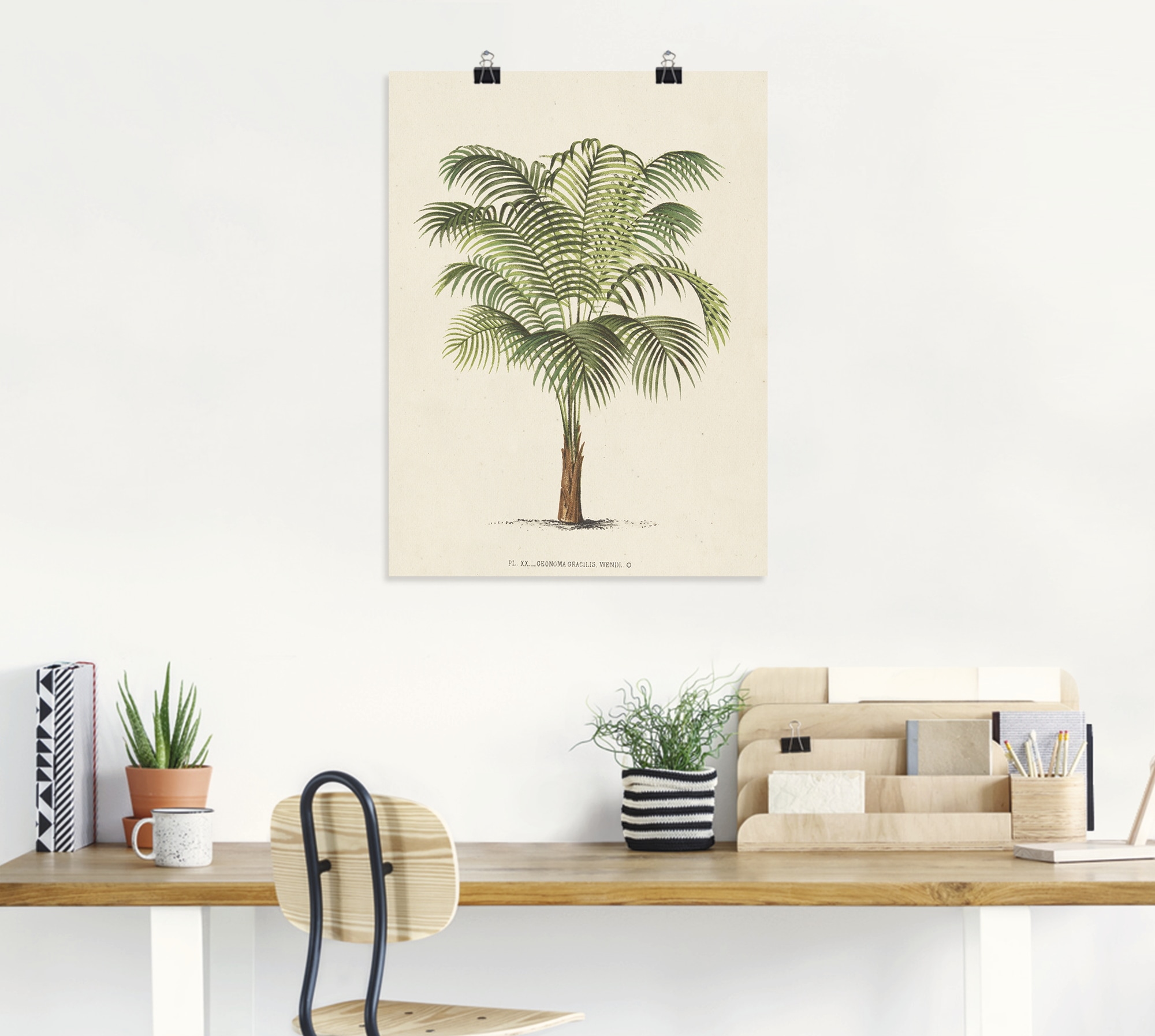 Artland Wandbild »Palme II«, Pflanzen, (1 St.), als Alubild, Leinwandbild,  Wandaufkleber oder Poster in versch. Größen bestellen | BAUR