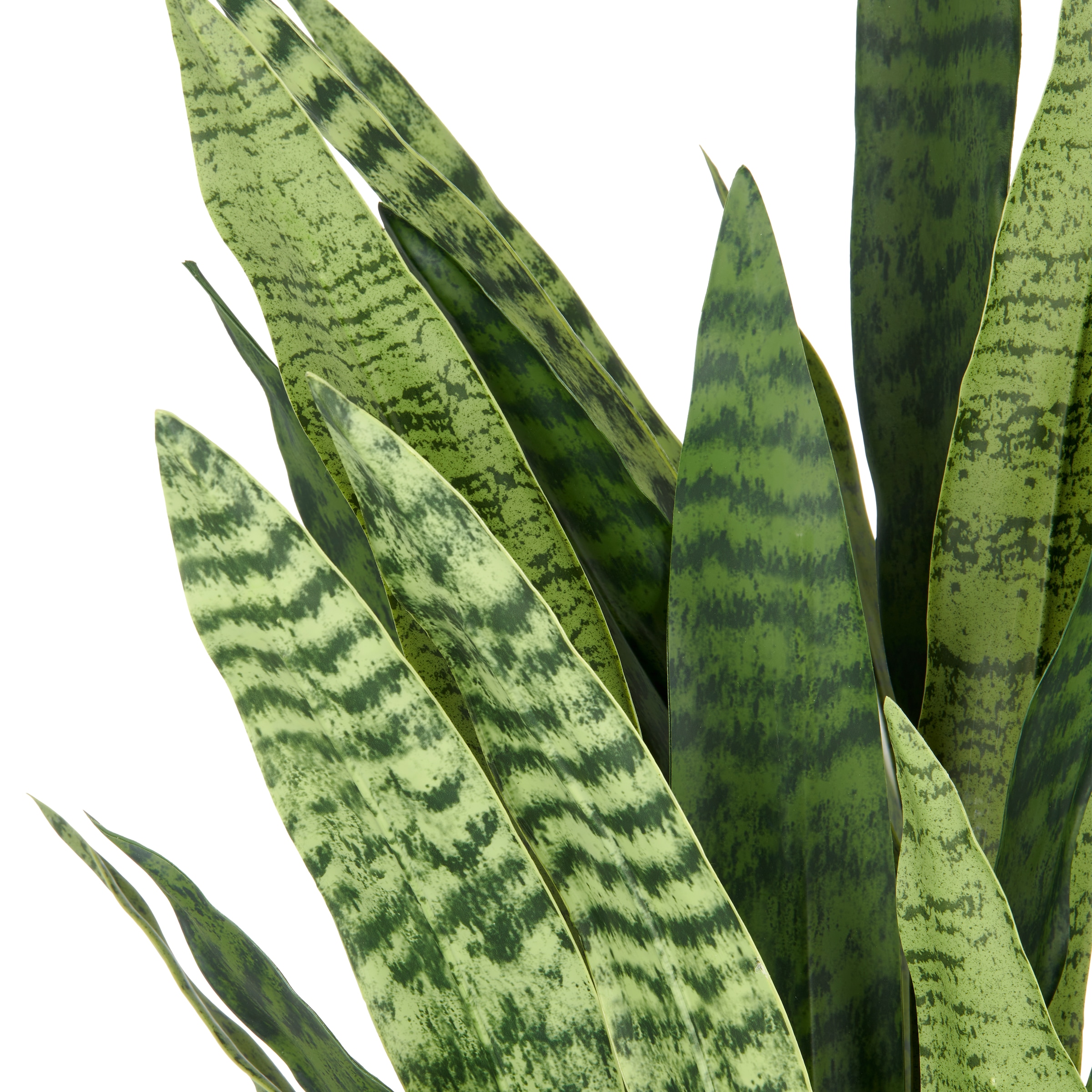 Creativ green Kunstpflanze »Sansevieria zeylanica«, im eleganten Topf