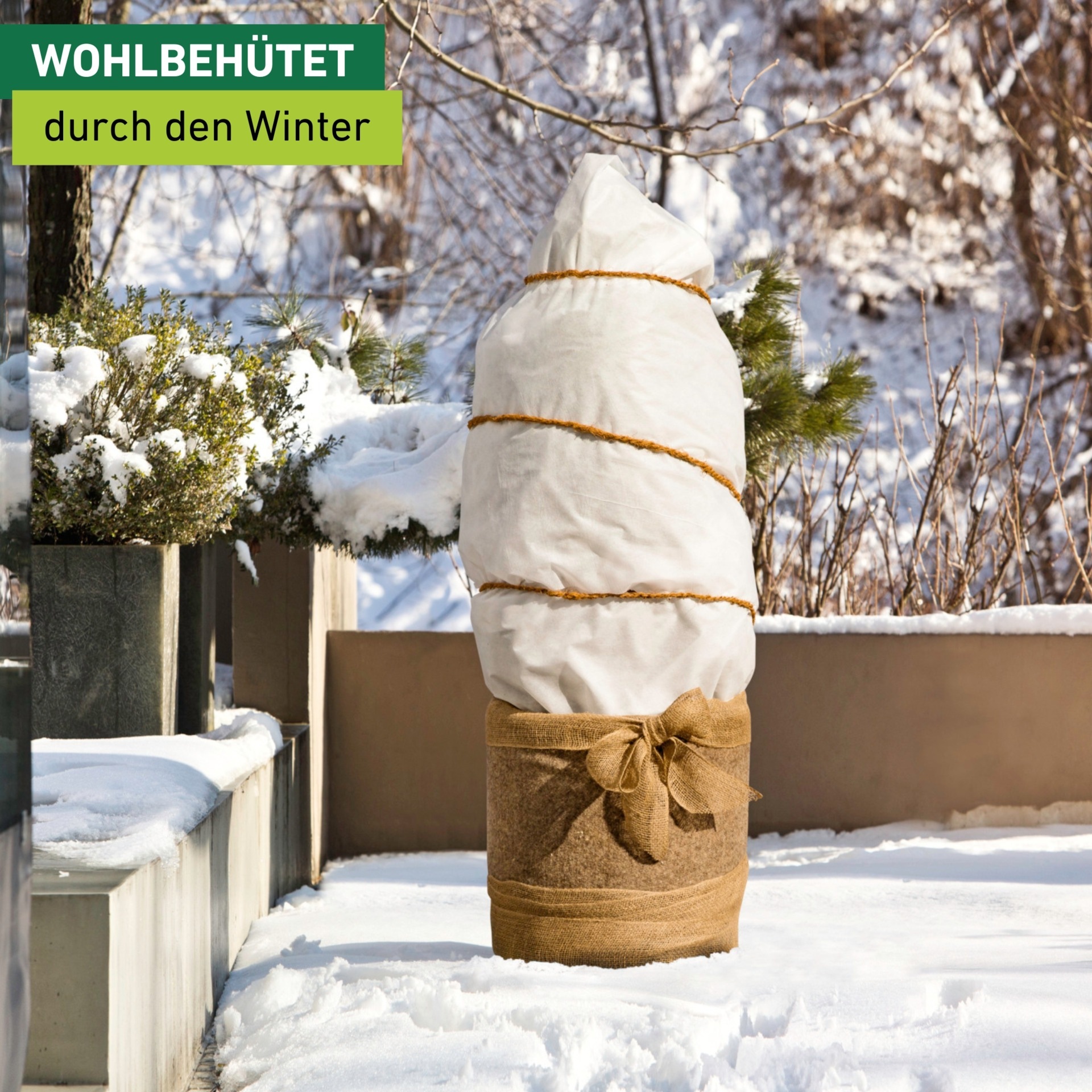 Windhager Winterschutzvlies »Winterschutz für Pflanzen, Vlieshaube, Frostschutz und Kälteschutz« UV stabilisiert und witterungsbeständig, 1,5x2 m, Stärke 200 g/m2