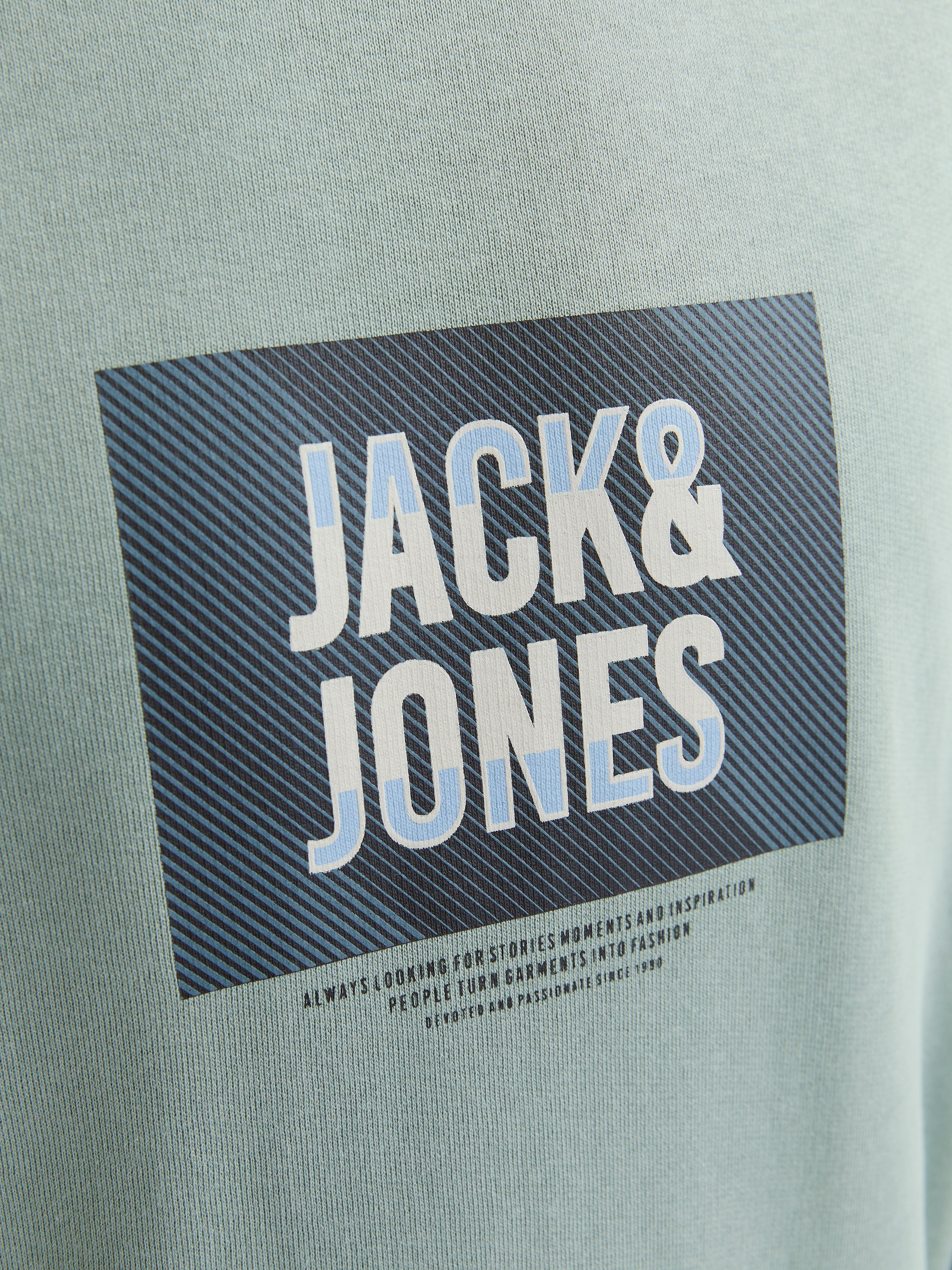 Jack & Jones Sweatshirt »JJHUDSON SWEAT CREW NECK«