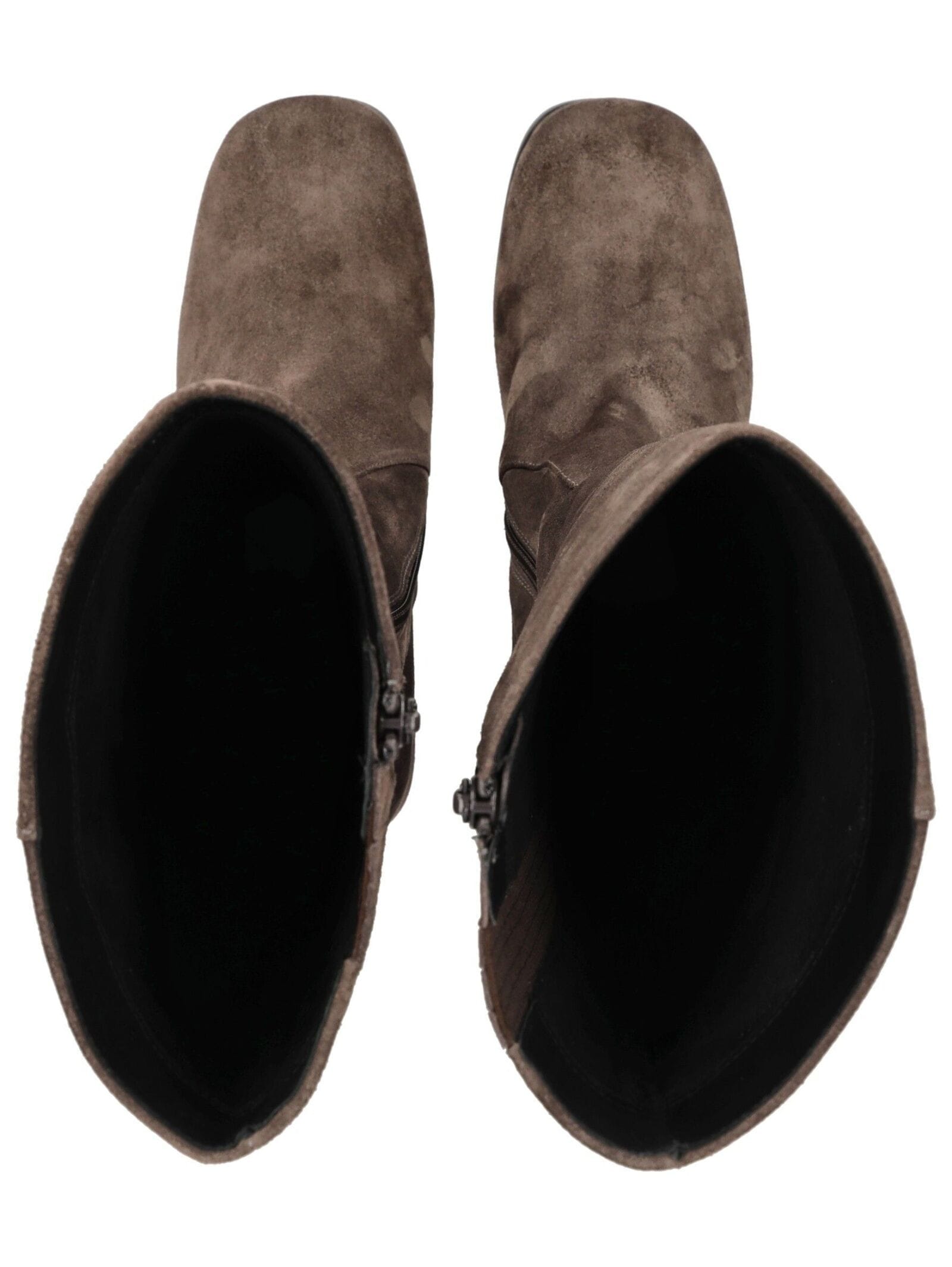 Högl Stiefel »Högl Stiefel Veloursleder«