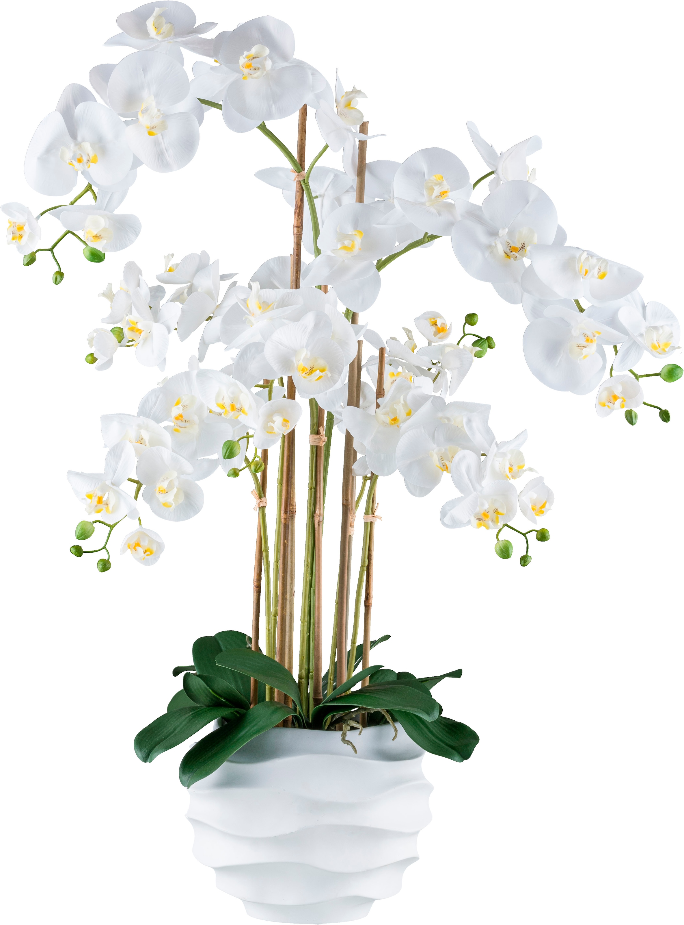 Creativ green Kunstorchidee "Orchidee Phalaenopsis", im Design-Topf