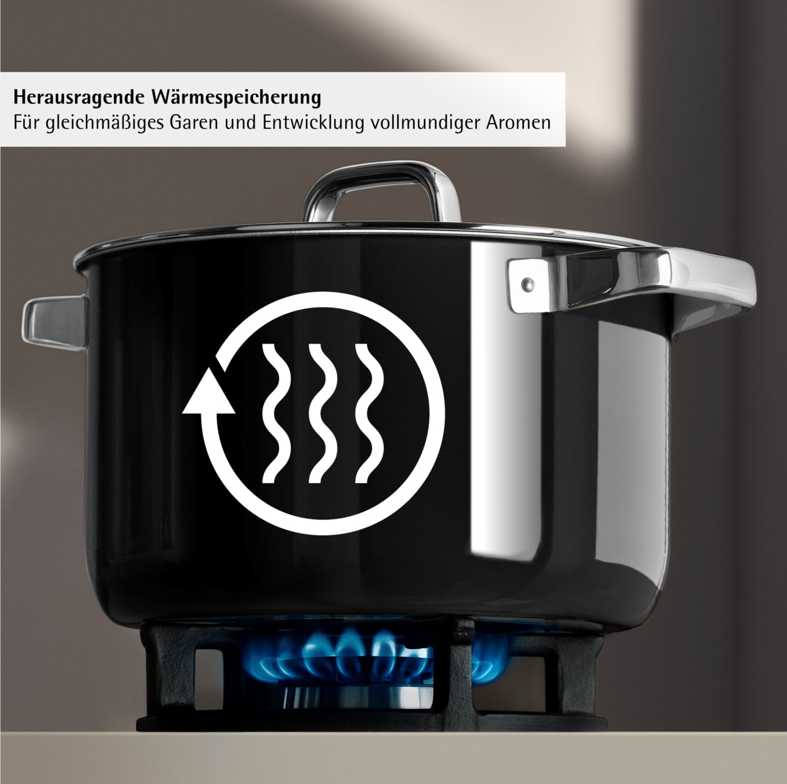 WMF Kochtopf »Fusiontec Mineral Pro« 1 tlg. tlg. Edelstahl | Glas