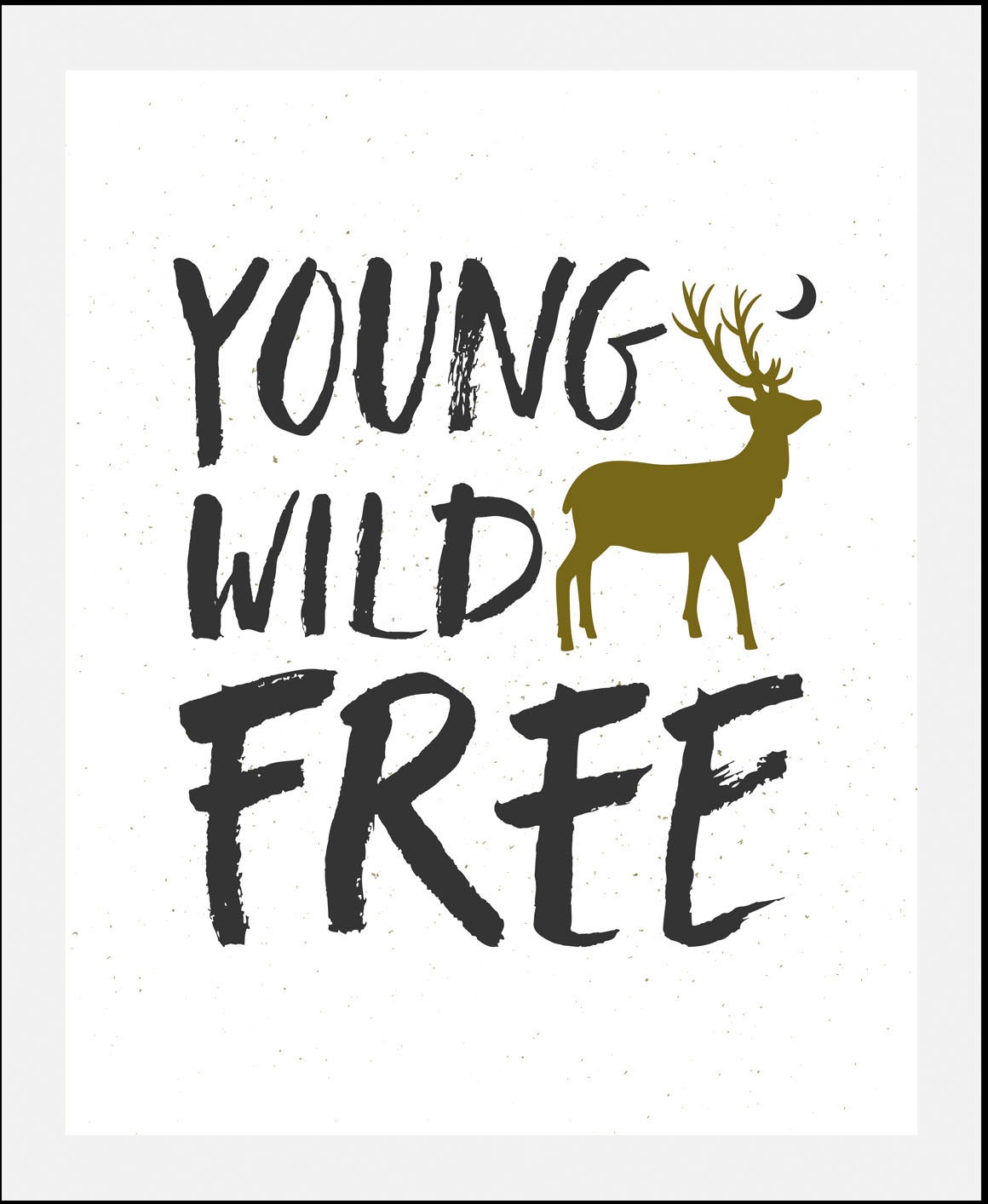 queence Bild "Young Wild Free", Schriftzüge-Schriftzug-Sprüche & Texte-Moti günstig online kaufen