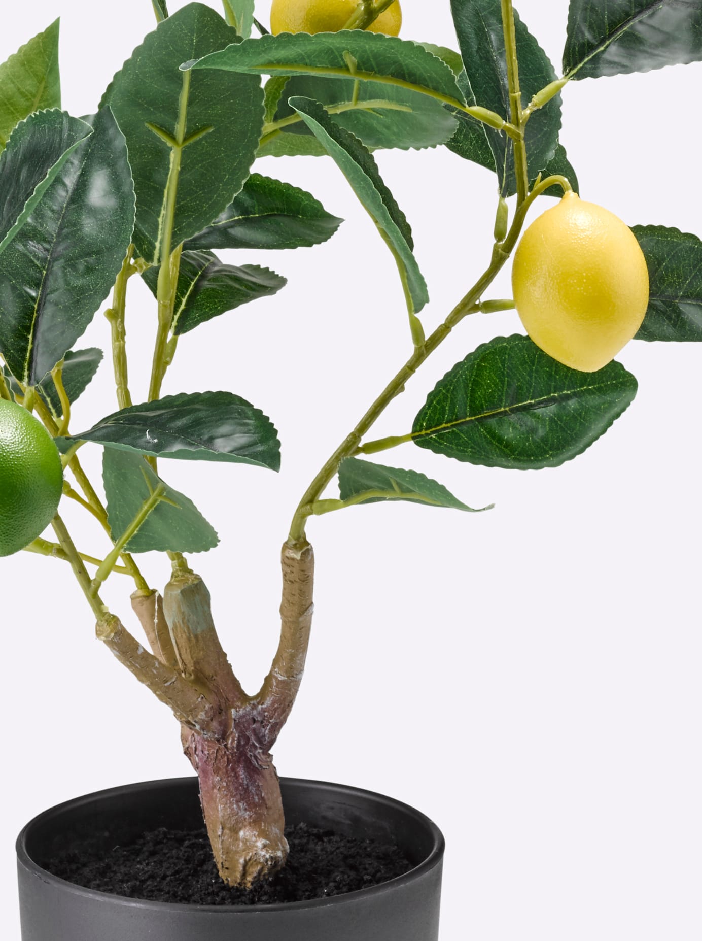 Thumbnail - Gasper Kunstpflanze