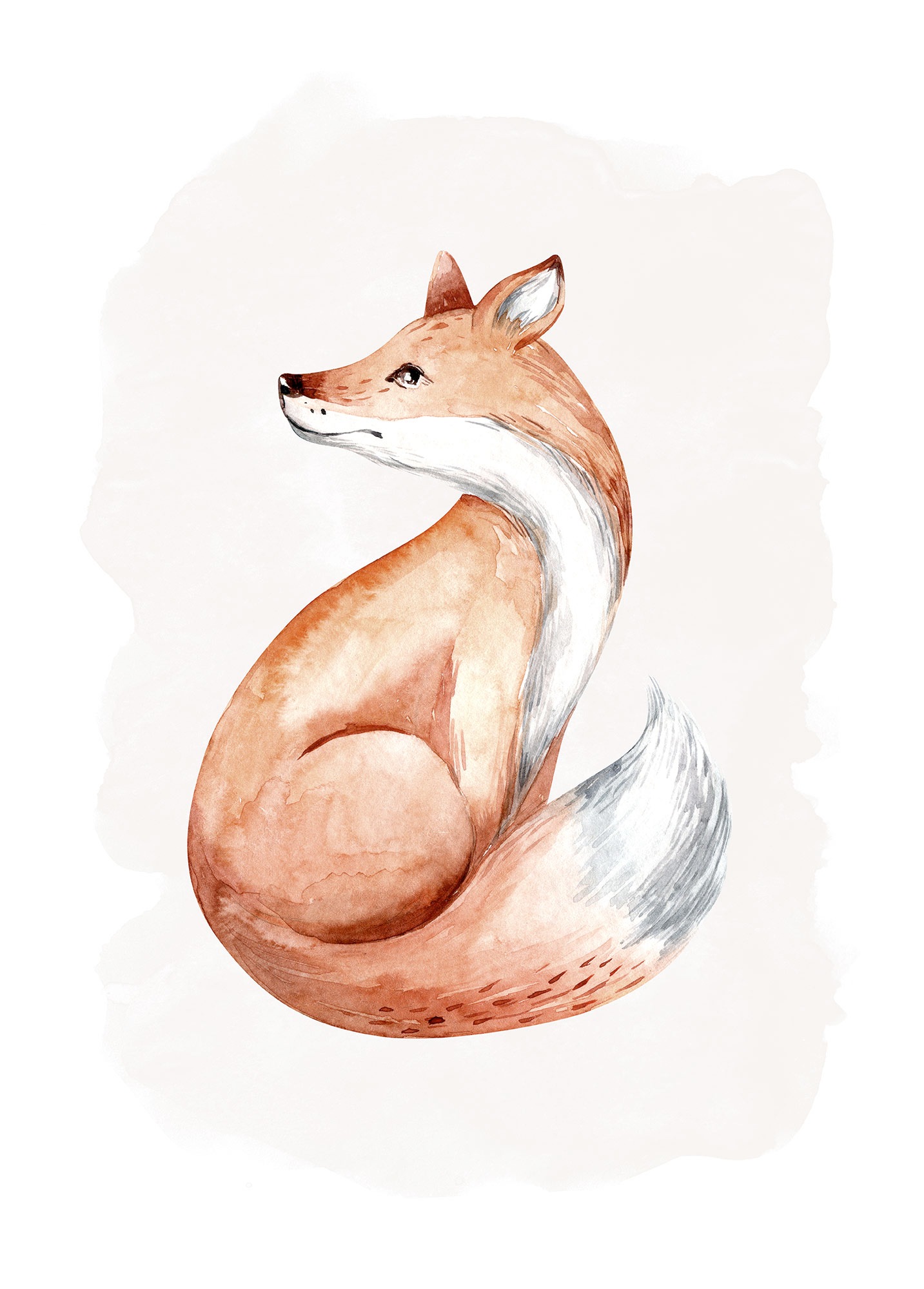 Komar Bild "Curious Fox", Natur, (1 St.), Wandbild zur Dekoration - ohne Ra günstig online kaufen