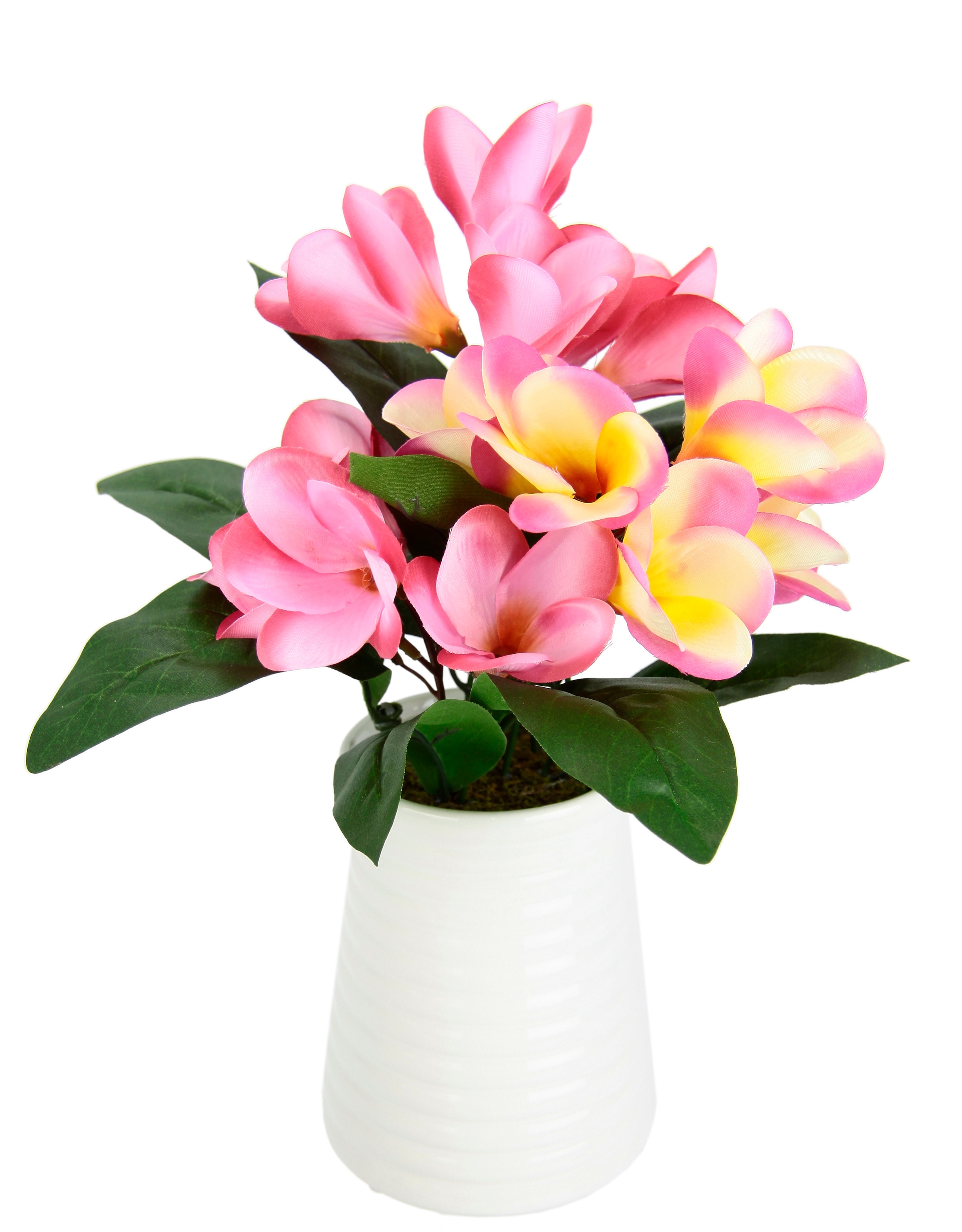 Kunstblume »Frangipani in Vase aus Keramik«