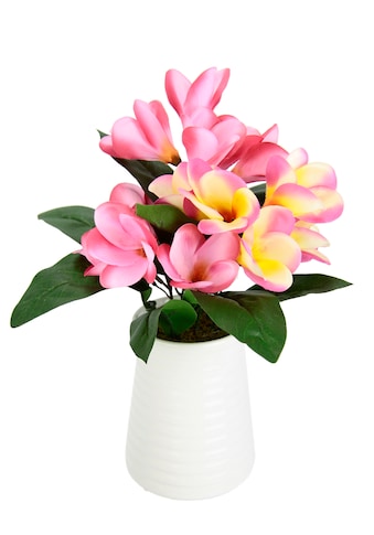 Kunstblume »Frangipani in Vase aus Keramik«