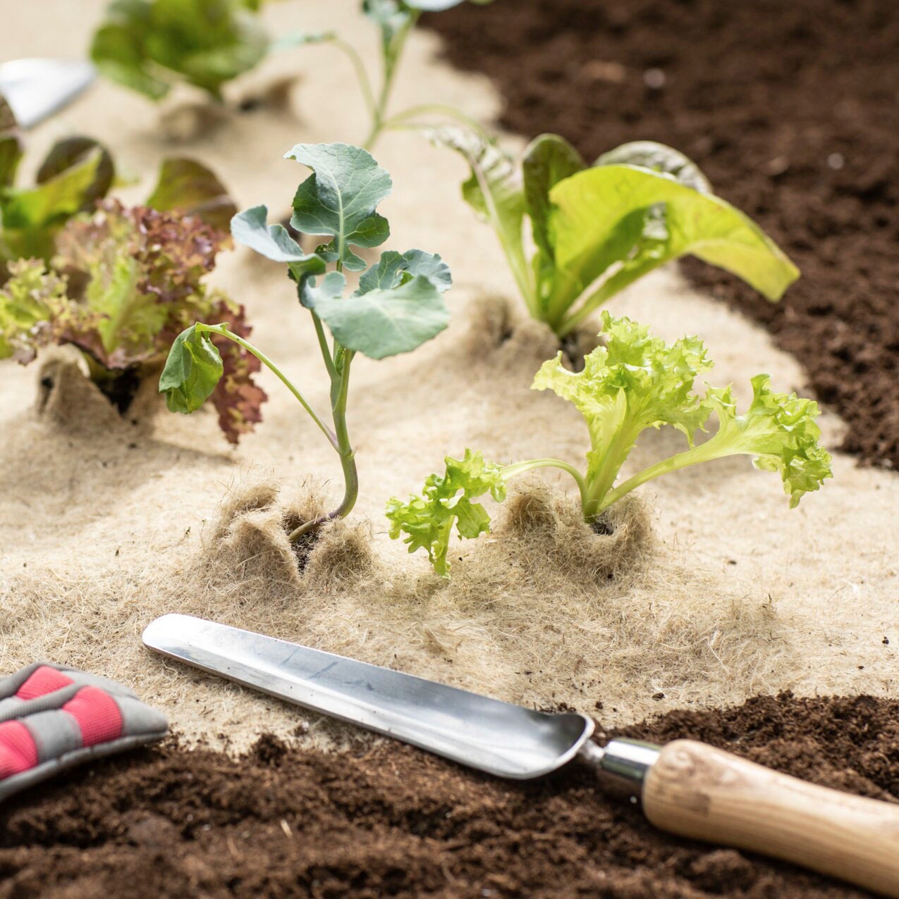 Windhager Unkrautvlies Naturfaser-Unkrautmatte, BxL: 50x400 cm