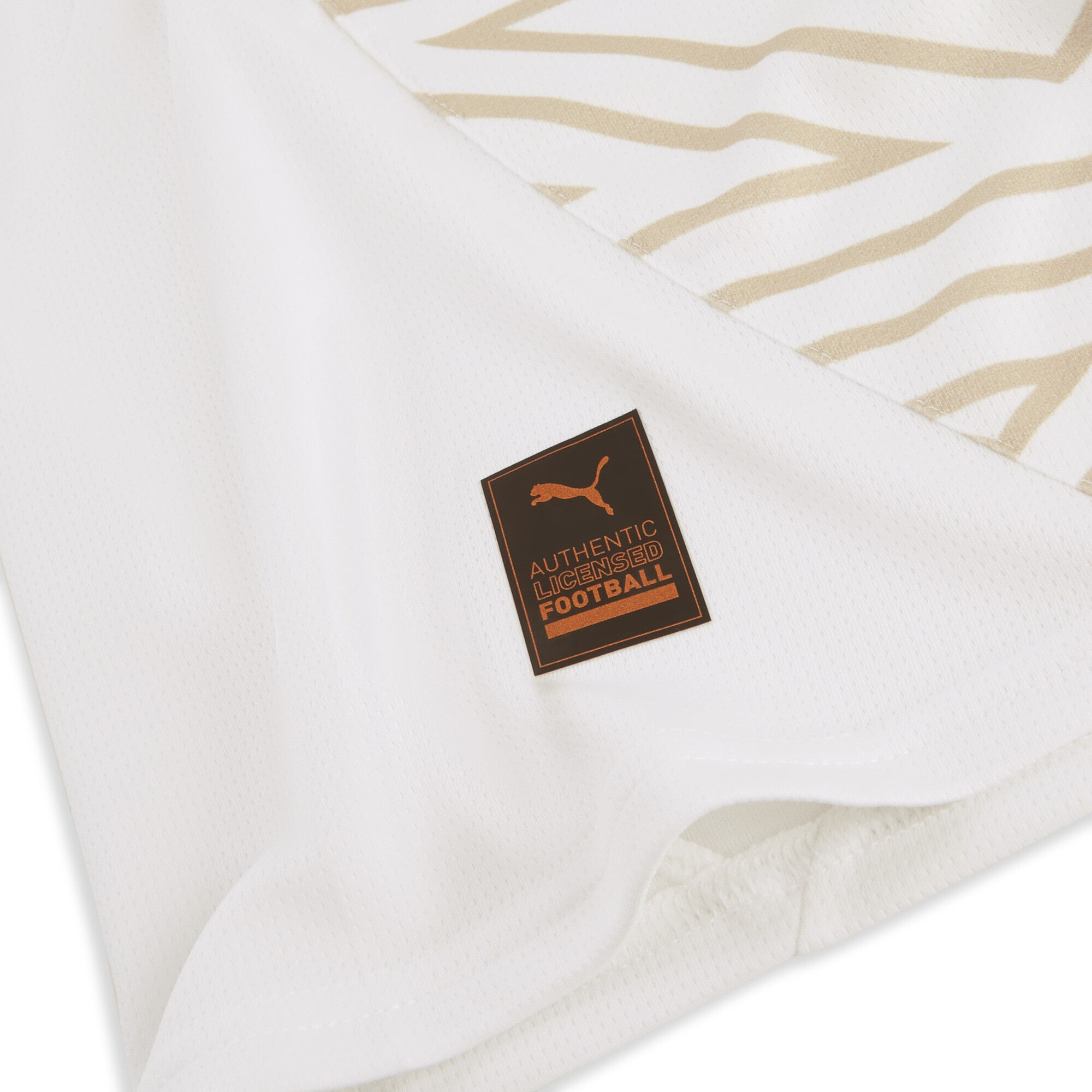 PUMA Trainingsshirt »Stade Reims 24/25 Ausweichtrikot Herren«