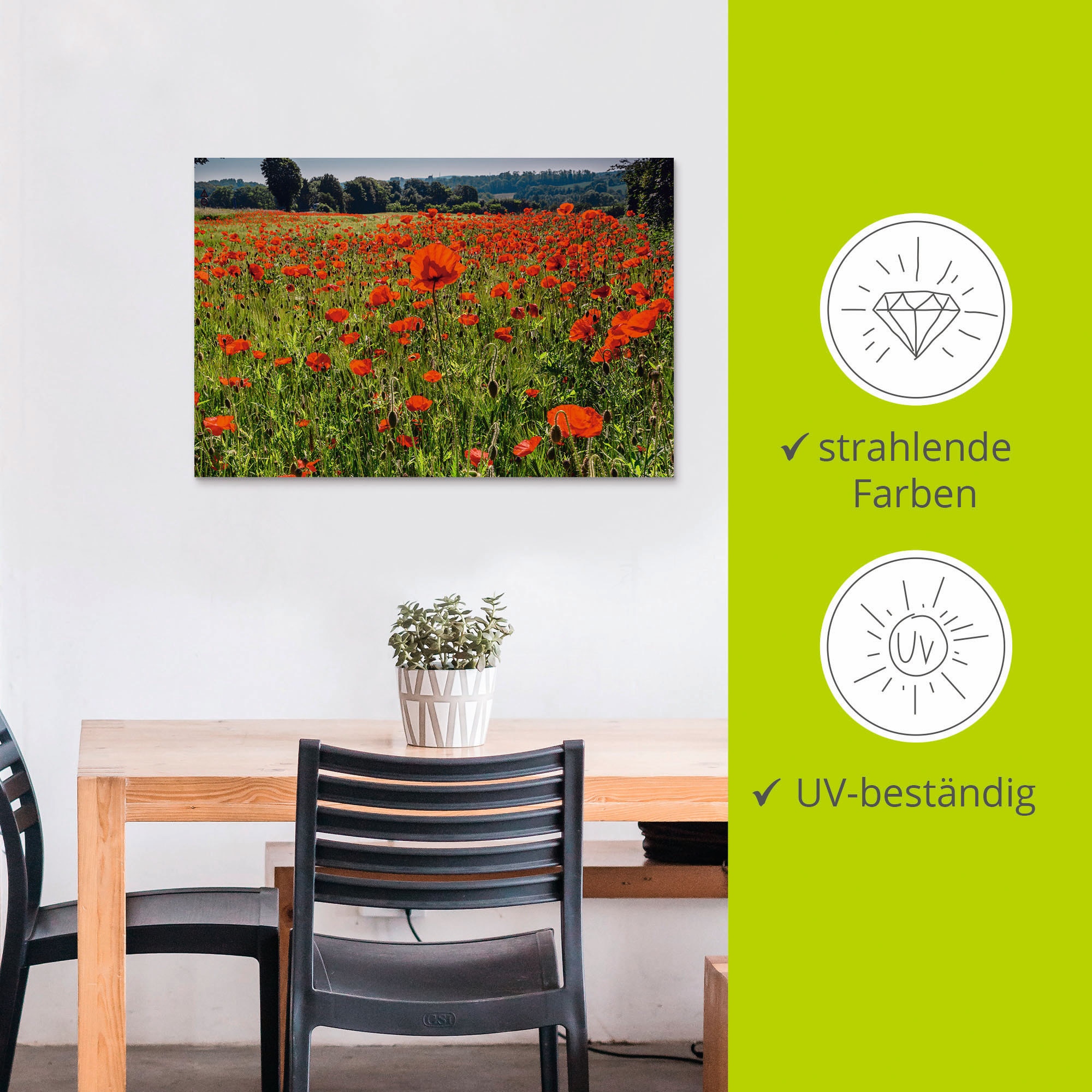 Artland Wandbild »Mohnblumenwiese«, Blumenwiese, versch. Poster (1 oder St.), in Größen Wandaufkleber Leinwandbild, als Alubild, BAUR | bestellen