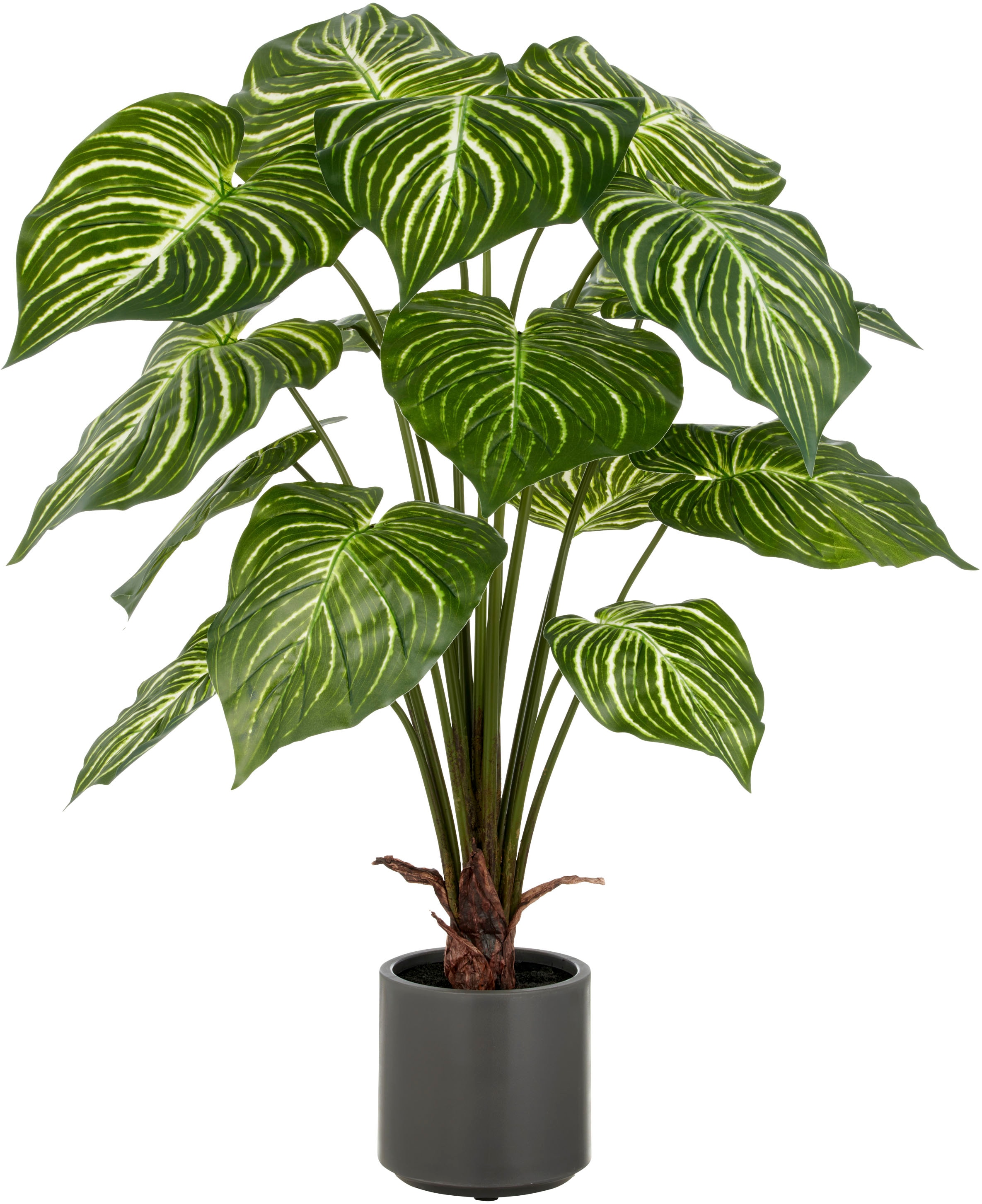 Creativ green Kunstpflanze "Philodendron Birkin" mit naturgetreuem Blattwer günstig online kaufen