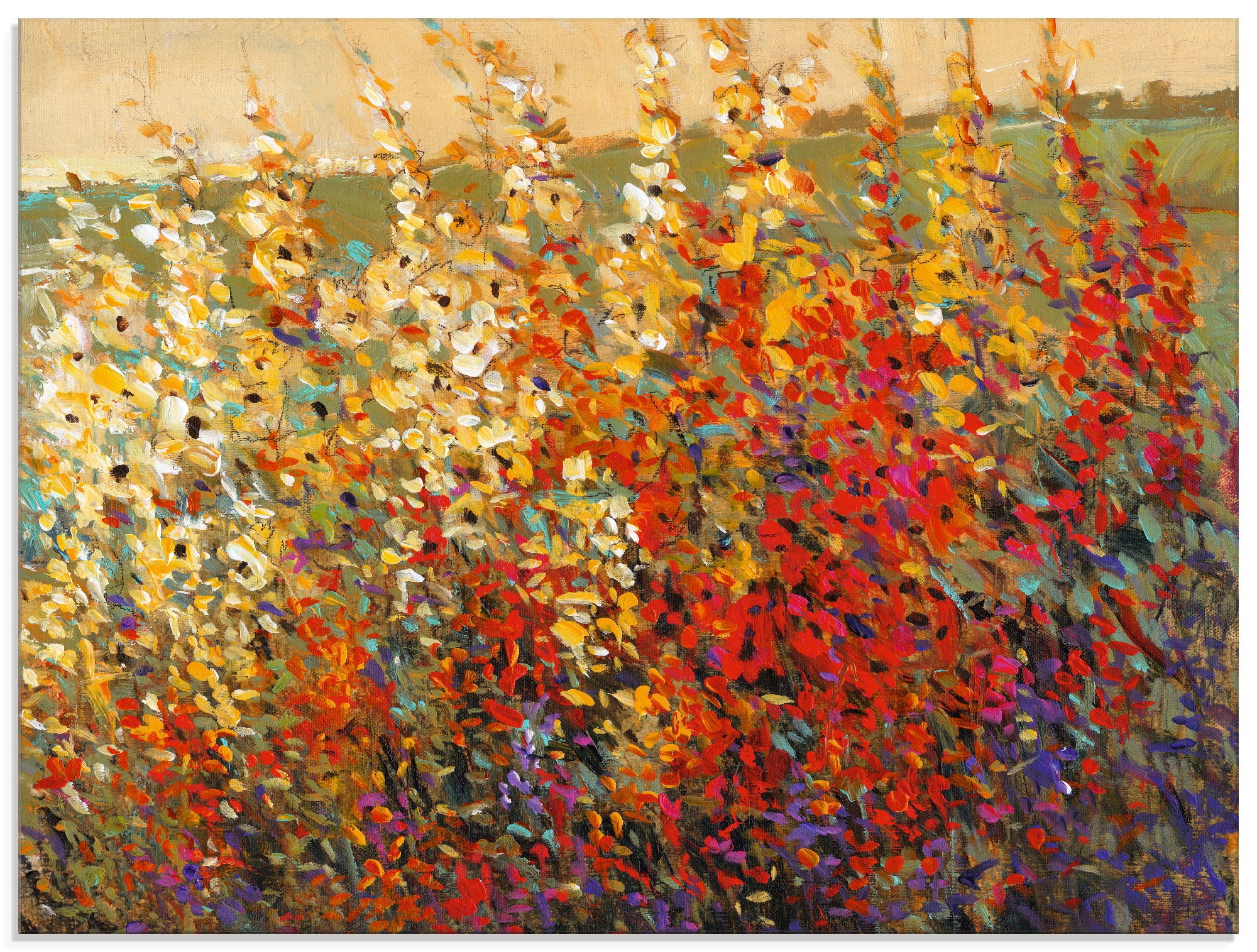 Artland Glasbild "Feld mit Herbstblumen I", Blumenwiese, (1 St.), in verschiedenen Größen