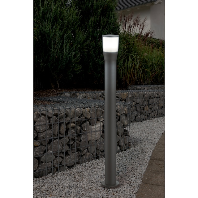 TRIO Leuchten LED Außen-Stehlampe »SHANNON«, 1 flammig-flammig, Wegeleuchte  kaufen | BAUR