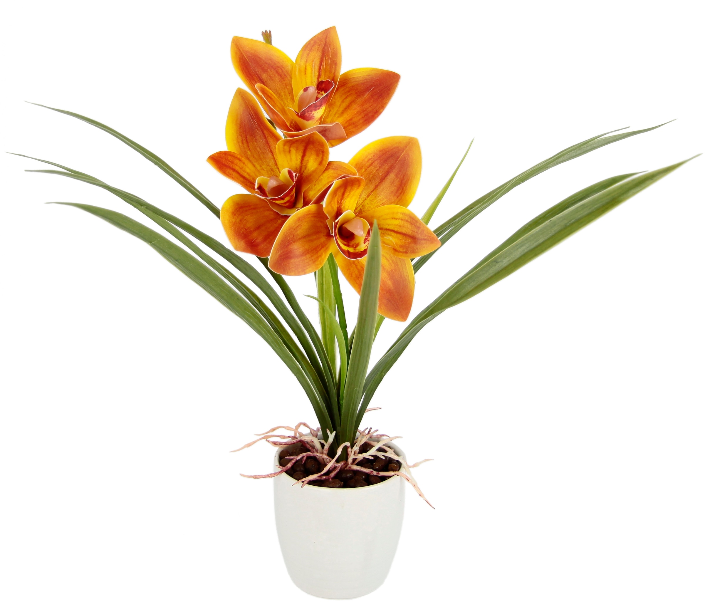 OTTO home Kunstblume "Orchidee" Mit Blätter im Topf aus Keramik Künstliche Blume Cymbidium-Orchidee