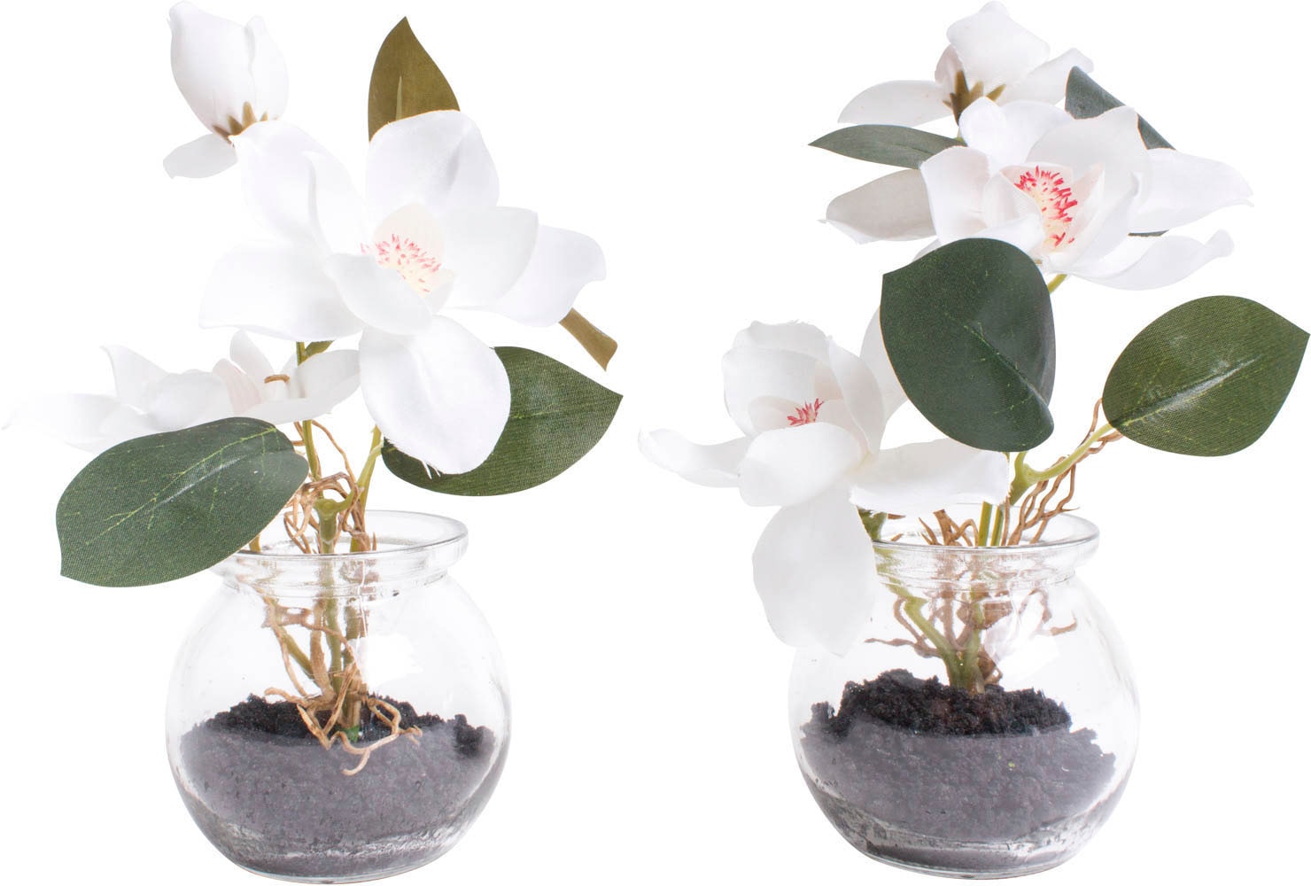 Botanic-Haus Kunstblume »Magnolie im Glas«