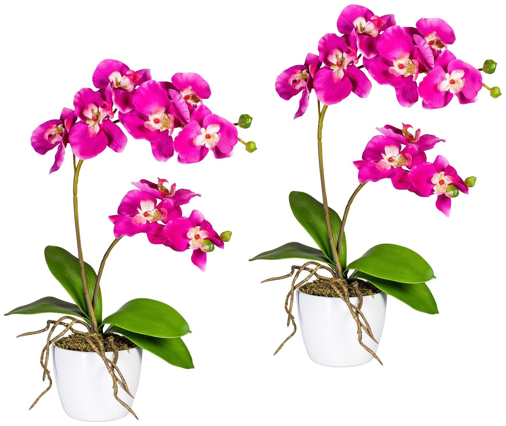 Creativ green Kunstpflanze "Orchidee Phalaenopsis", im Keramiktopf günstig online kaufen