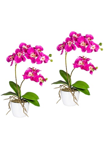 Kunstpflanze »Orchidee Phalaenopsis«