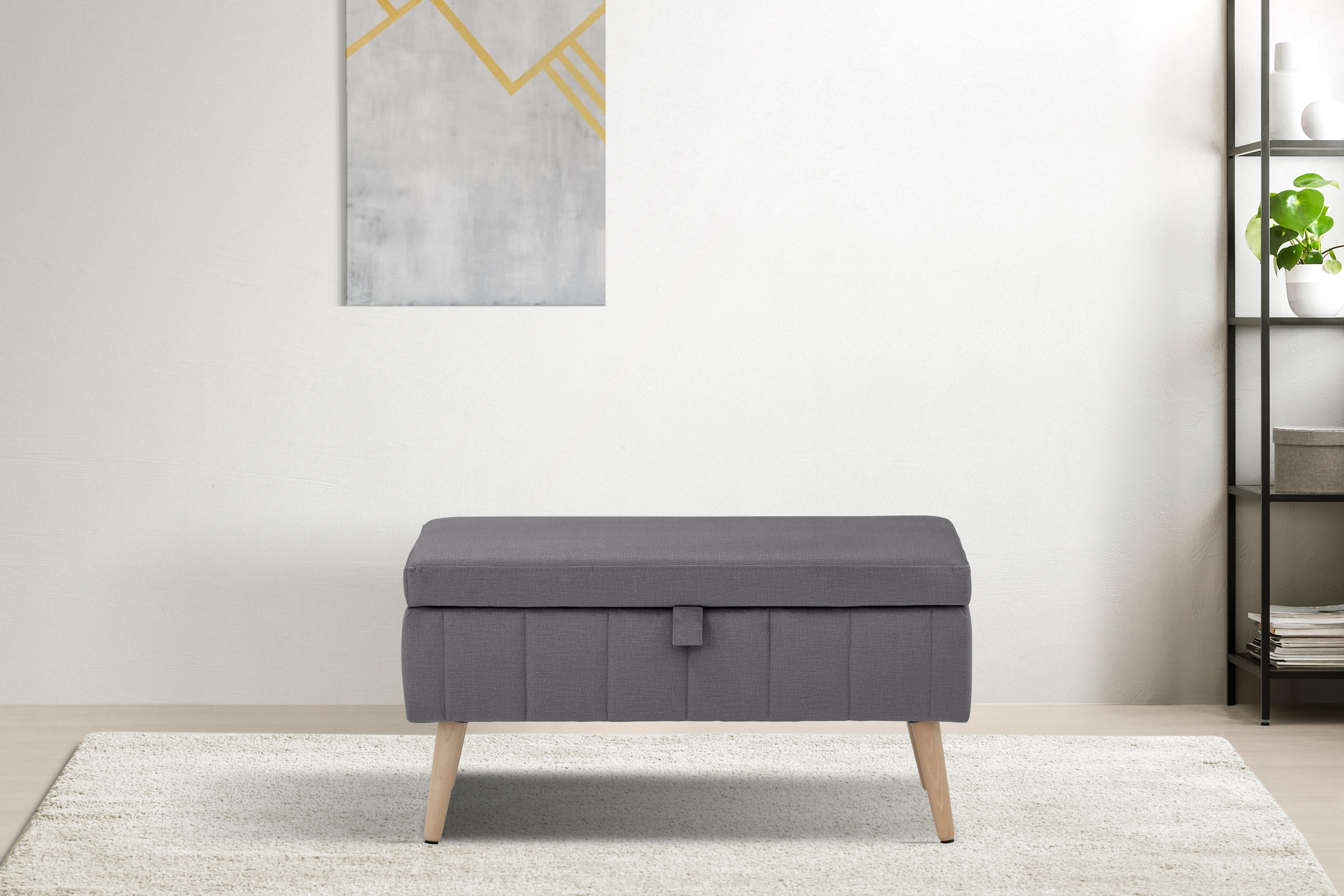 INOSIGN Truhenbank "AMIRA Sitzbank mit Stauraum, Maße B/T/H: 81/36/43 cm", günstig online kaufen