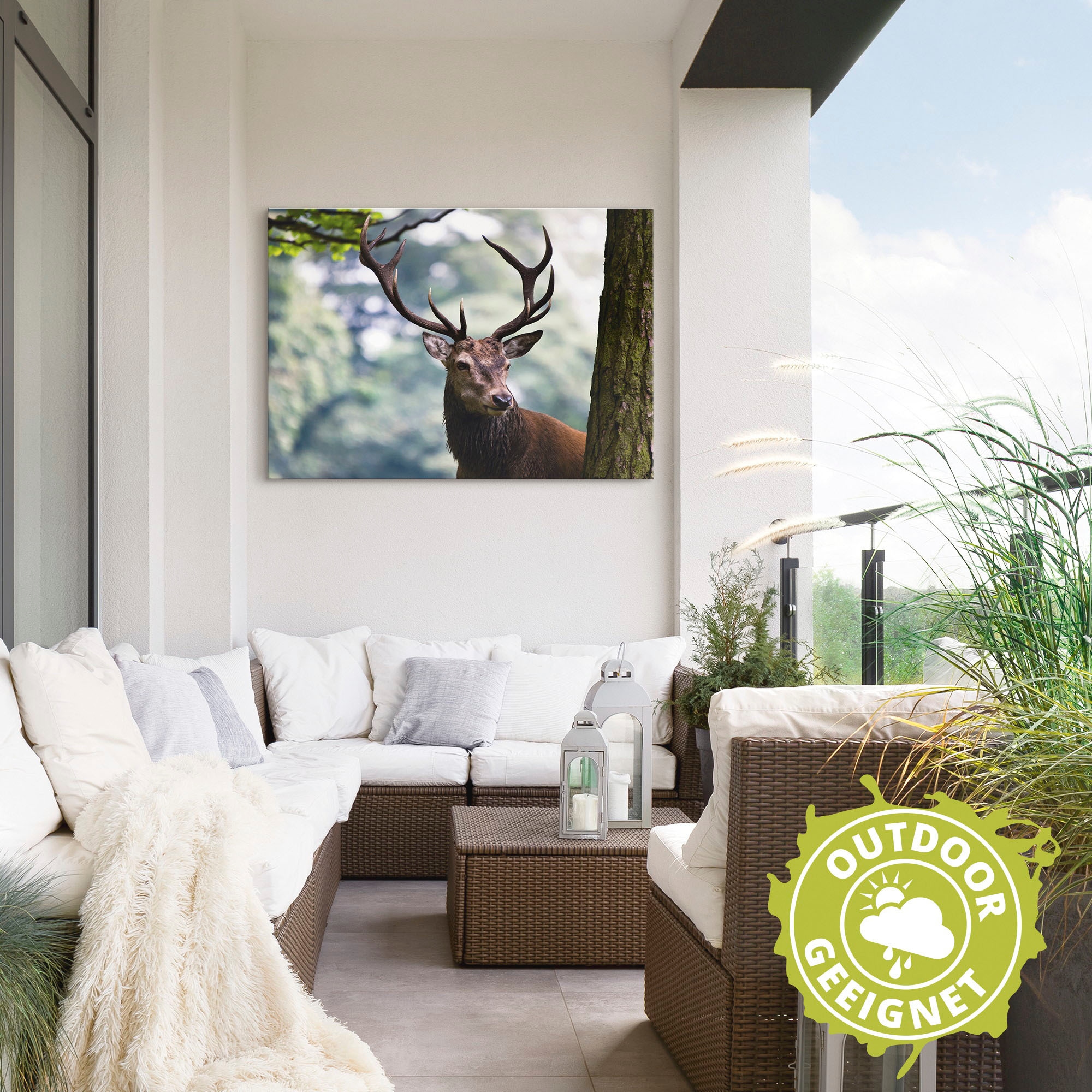Artland Wandbild »Hirsch«, Wildtiere, (1 St.), als Alubild, Outdoorbild, Leinwandbild, Poster in verschied. Größen