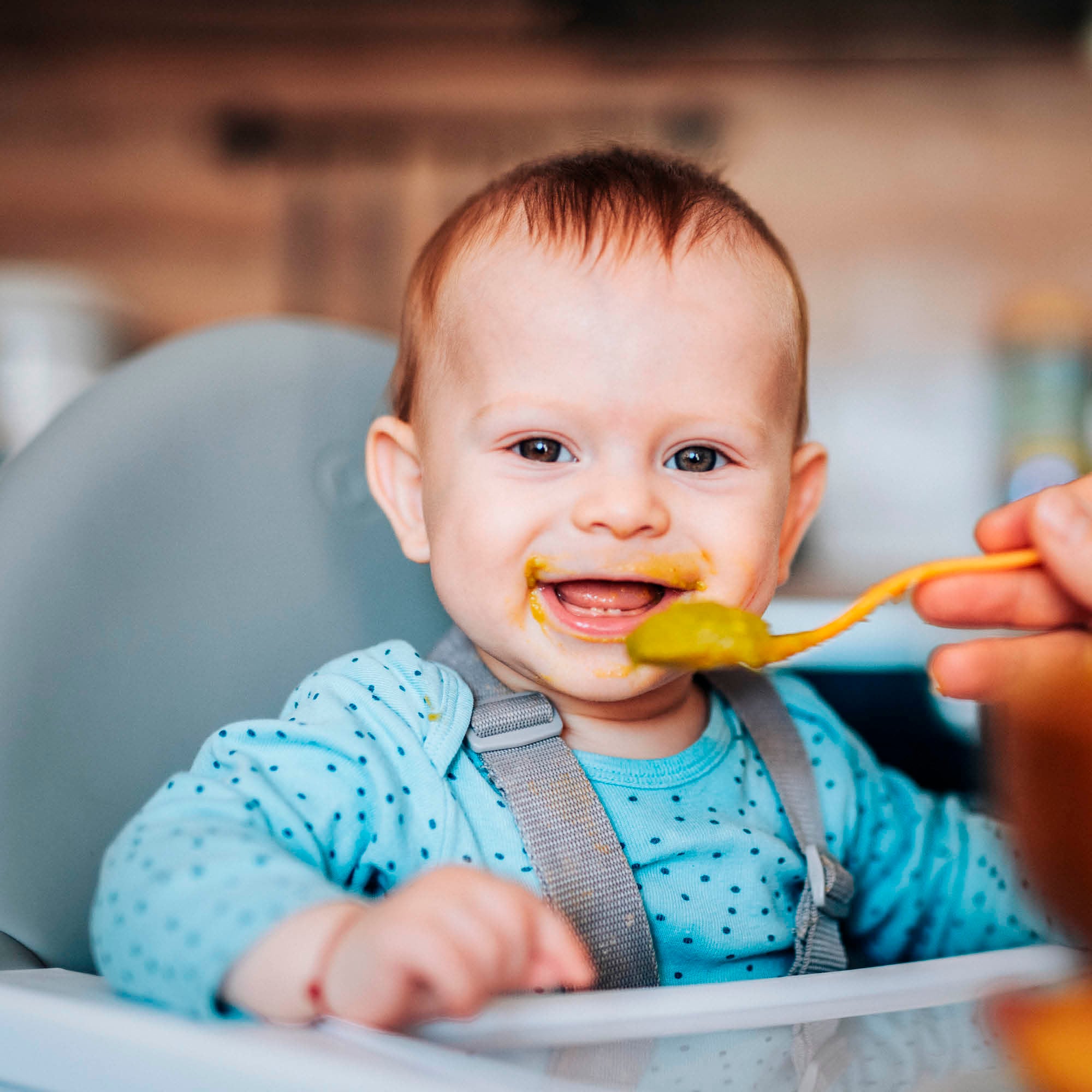 BabyGo Hochstuhl »Scandi - wood«