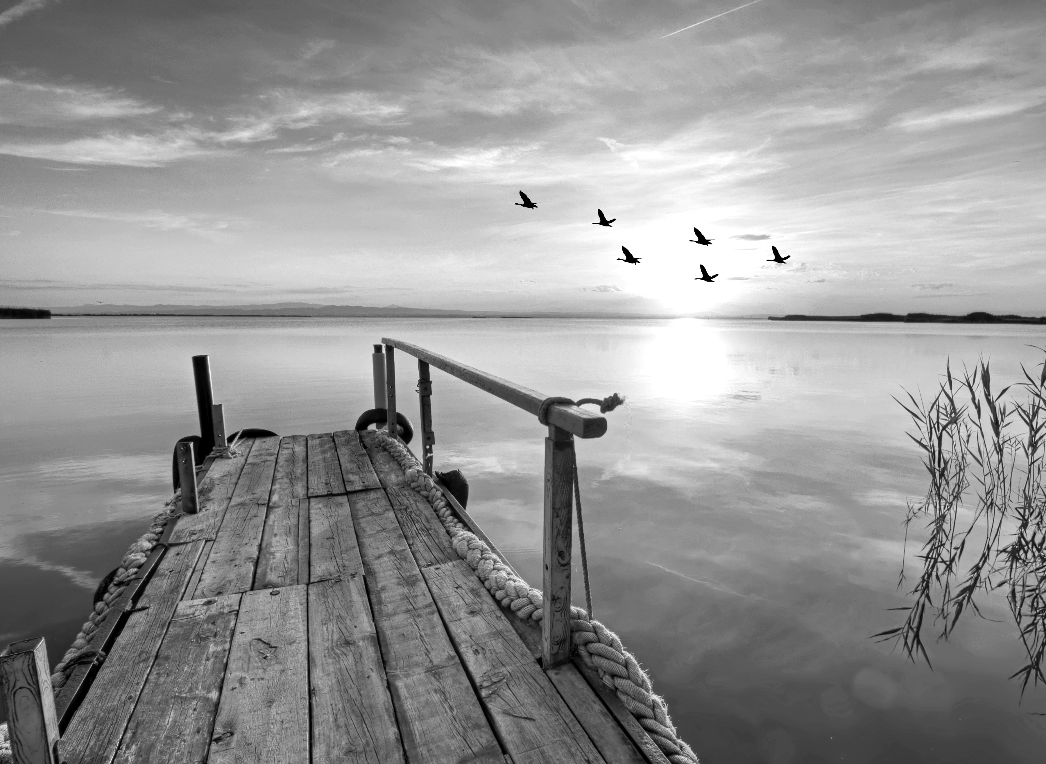 Papermoon Fototapete "Steg am Wasser Schwarz & Weiß"