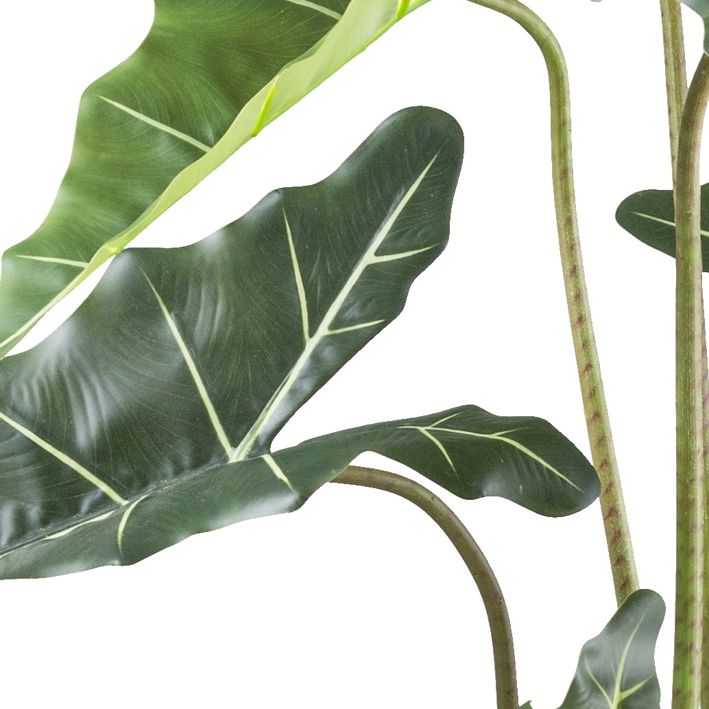 Creativ green Kunstpflanze »Alocasia zebrina sarian«, mit gestreiftem Stamm
