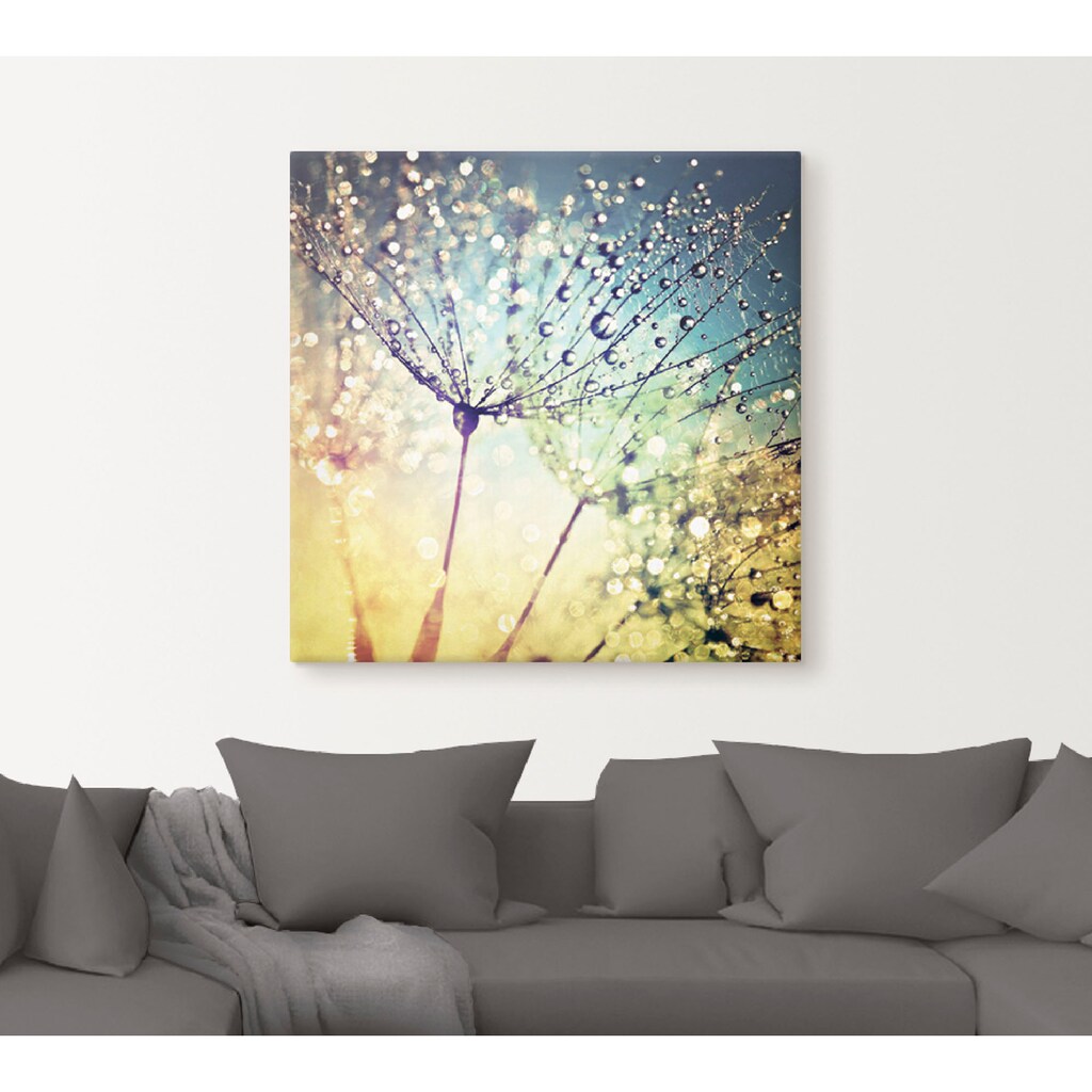 Artland Wandbild »Pusteblume Zaubertropfen«, Blumen, (1 St.)