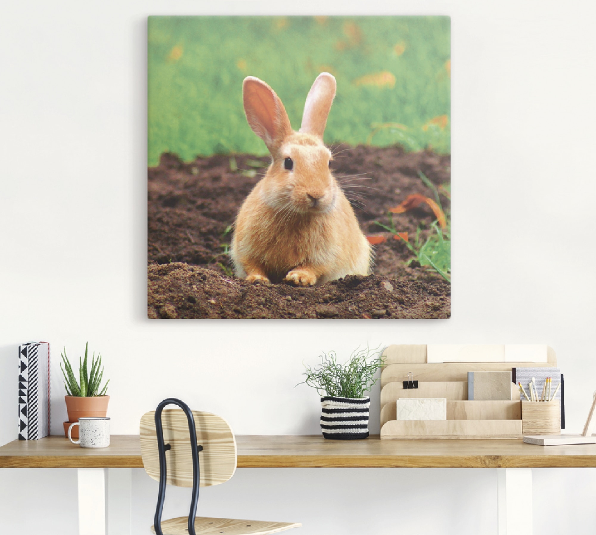 Artland Wandbild »Glückliches Zwergkaninchen«, Wildtiere, (1 St.), als Leinwandbild, Wandaufkleber in verschied. Größen