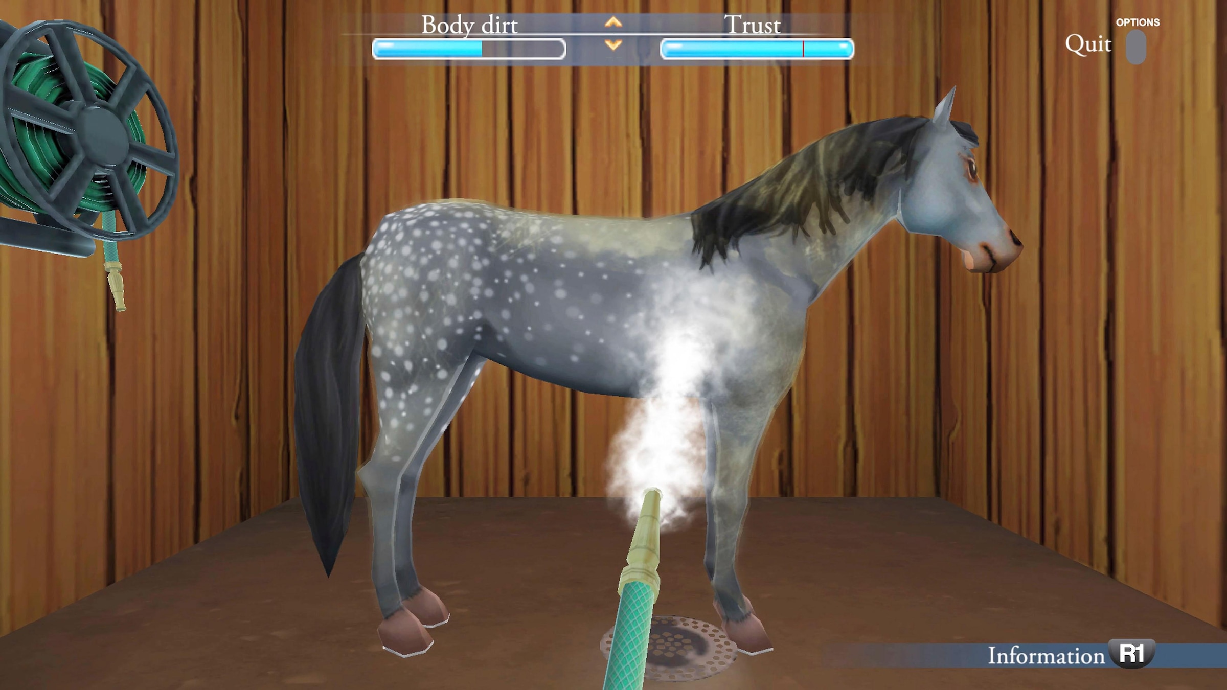 Markt+Technik Spielesoftware »Mein Gestüt - Ein Leben für die Pferde«, Nintendo Switch, Software Pyramide