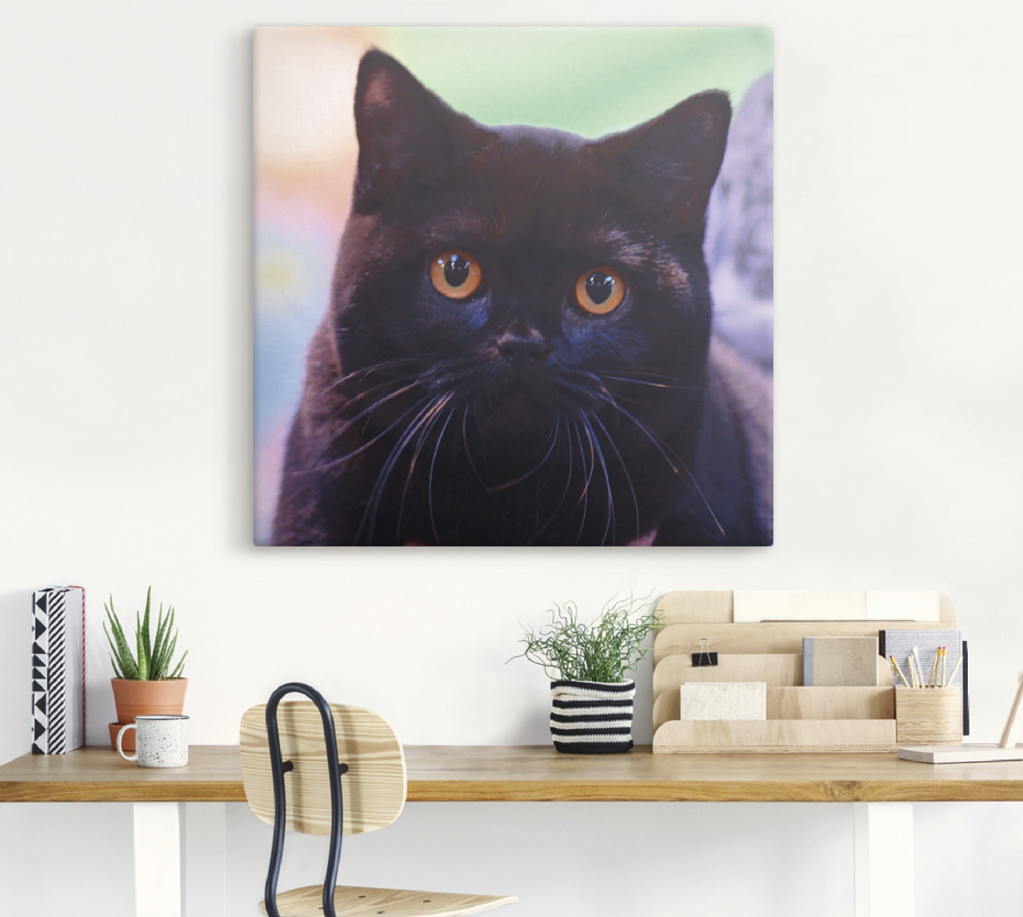 Artland Wandbild »Schwarze Britisch Kurzhaarkatze«, Haustiere, (1 St.), als Poster in verschied. Größen
