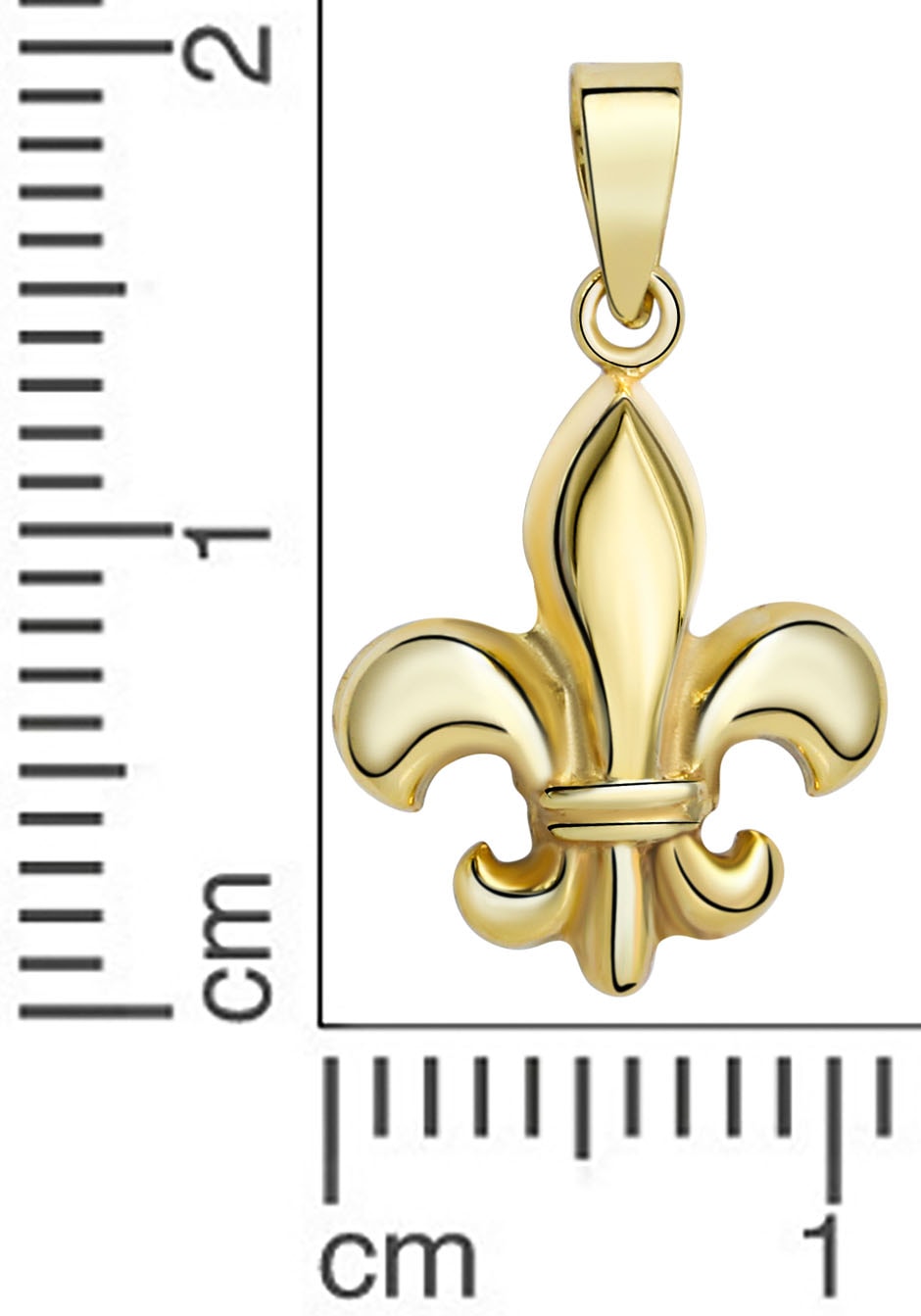 Firetti Kettenanhänger »Schmuck Geschenk Gold 333 Halsschmuck Anhänger Halskette Fleur de lys«