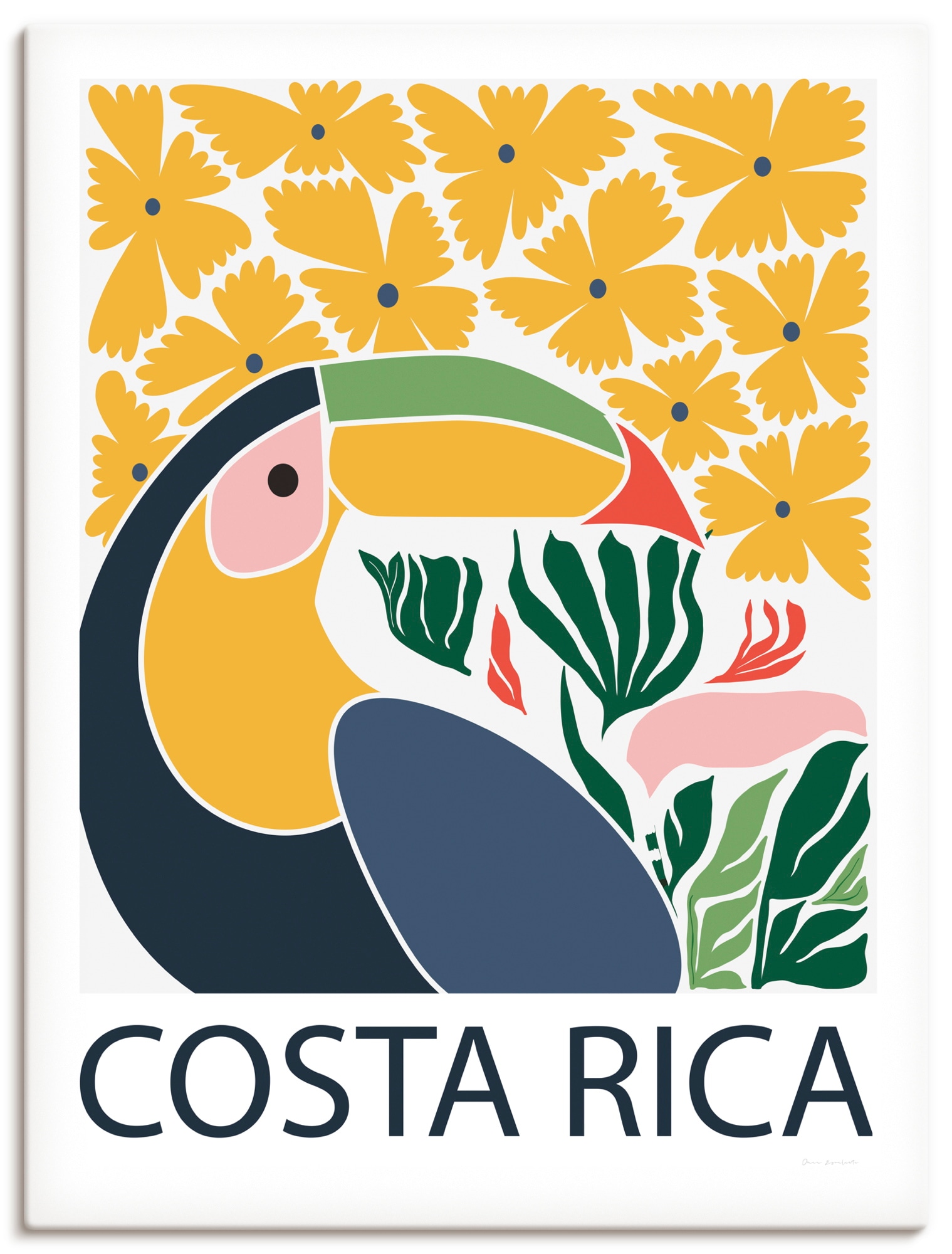 Artland Wandbild "Costa Rica" Vogelbilder 1 Stk. tlg. als Alubild, Leinwandbild, Poster, Wandaufkleber in verschied. Größen