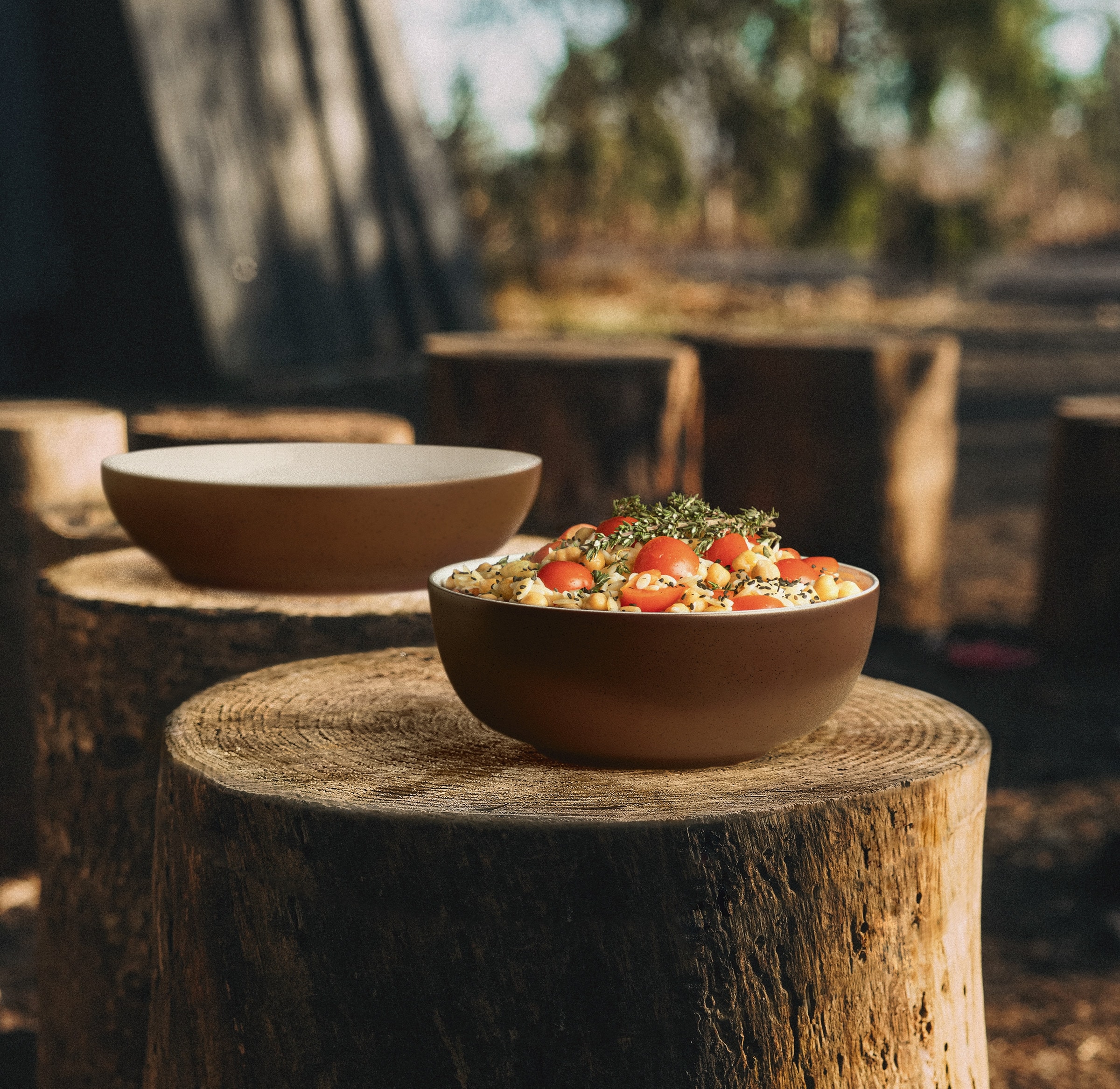 Seltmann Weiden Schüssel »Liberty Bronze« 1 aus Porzellan Schale, Bowl