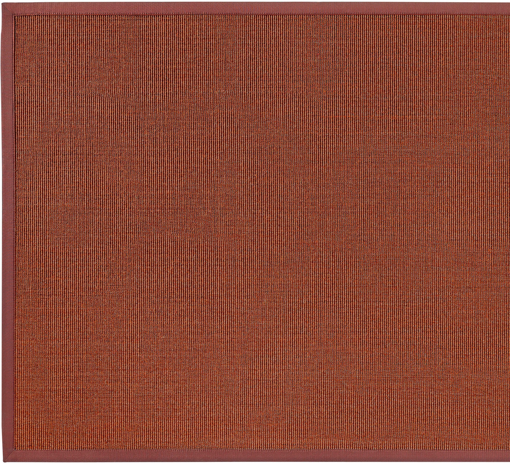 Thumbnail - Dekowe Sisalteppich "Mara S2 mit Bordüre", rechteckig, 5 mm Höhe, Flachgewebe, Material: 100% Sisal, Wohnzimmer